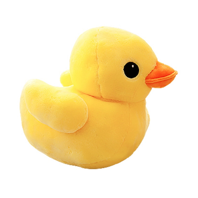 AZLCL 10cm20cm30cm50cm70cm80cm100cm