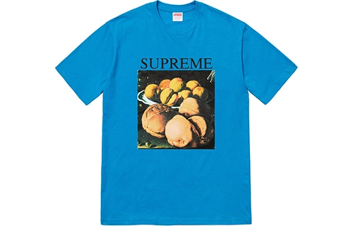 Supreme FW18 Still Life Tee Bright Blue T