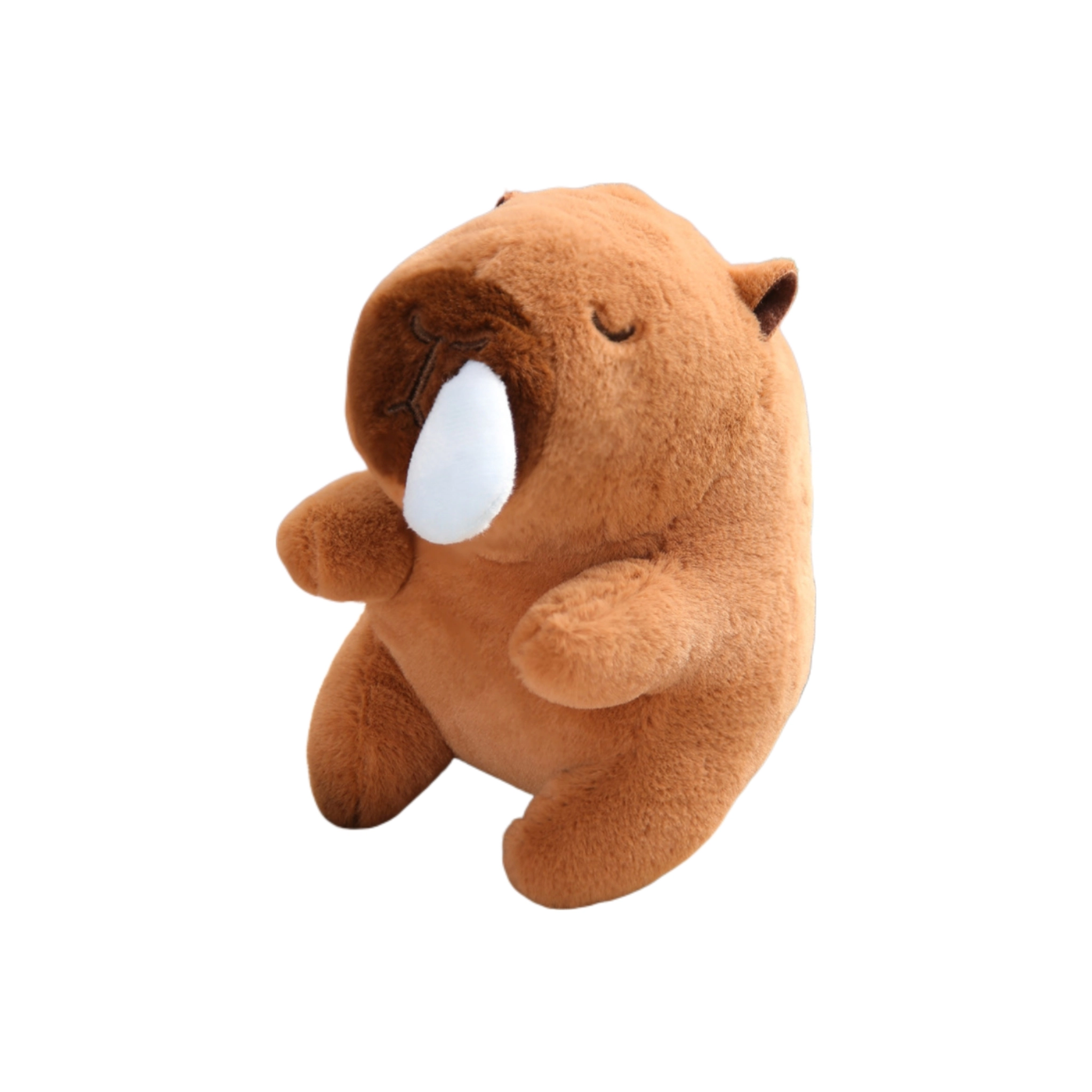 19cm