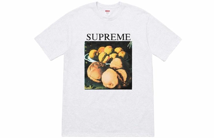 Supreme FW18 Still Life Tee Ash Grey T