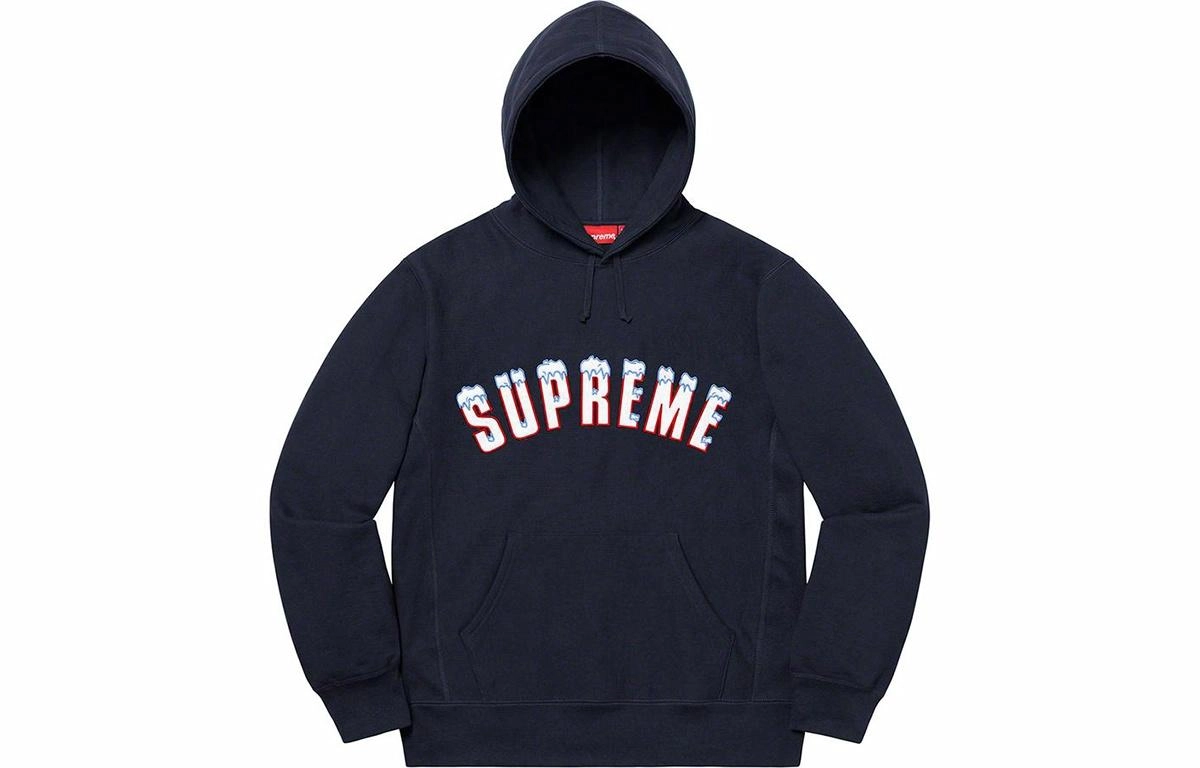 Supreme FW20 Week 1 Icy Arc Hooded Sweatshirt Logo
