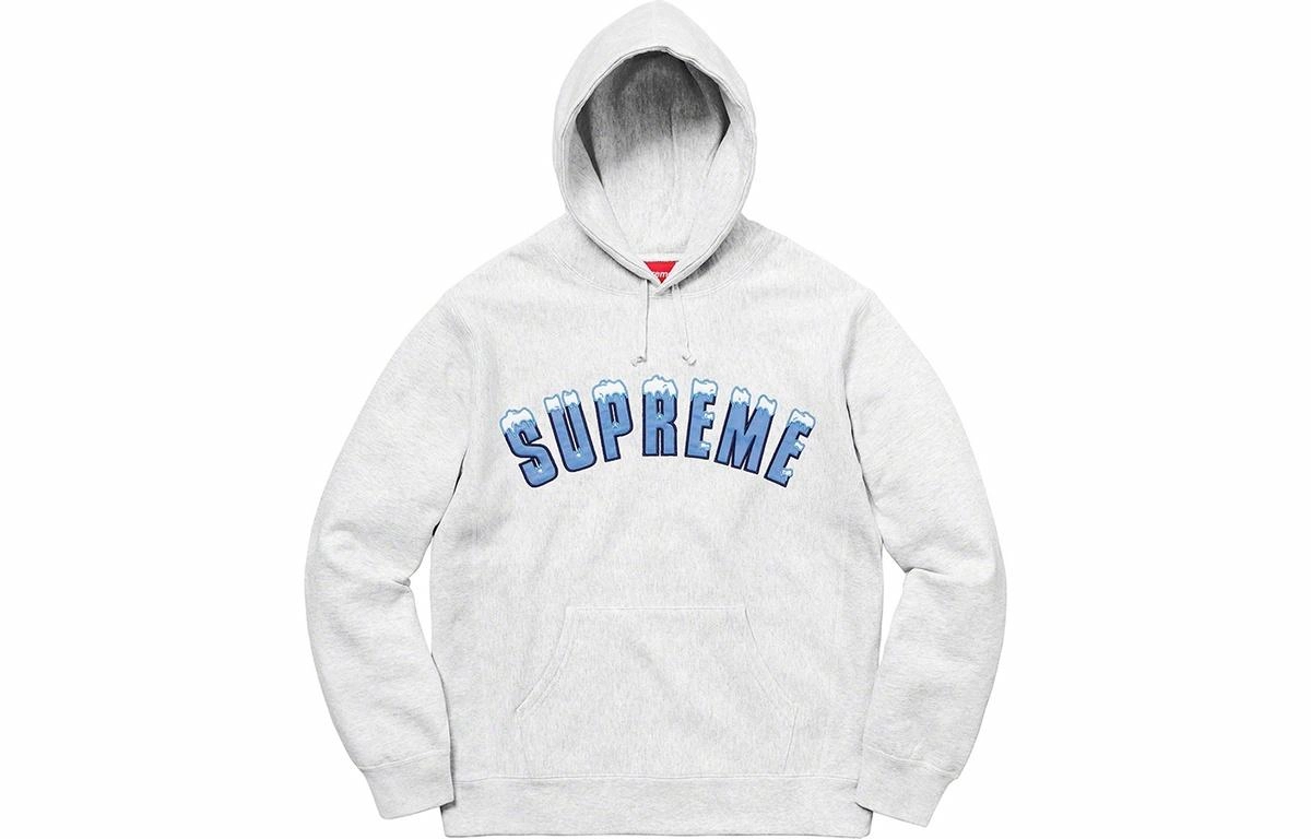 Supreme FW20 Week 1 Icy Arc Hooded Sweatshirt Logo