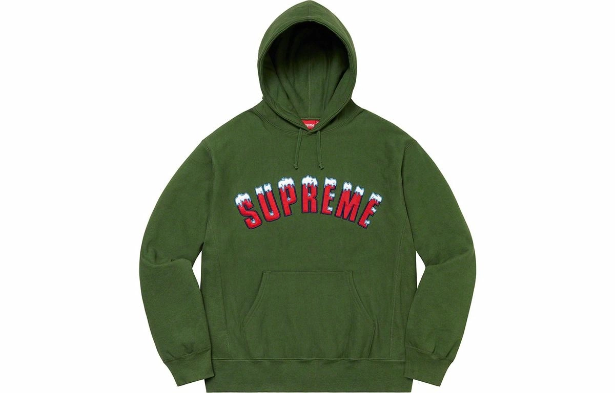 Supreme FW20 Week 1 Icy Arc Hooded Sweatshirt Logo