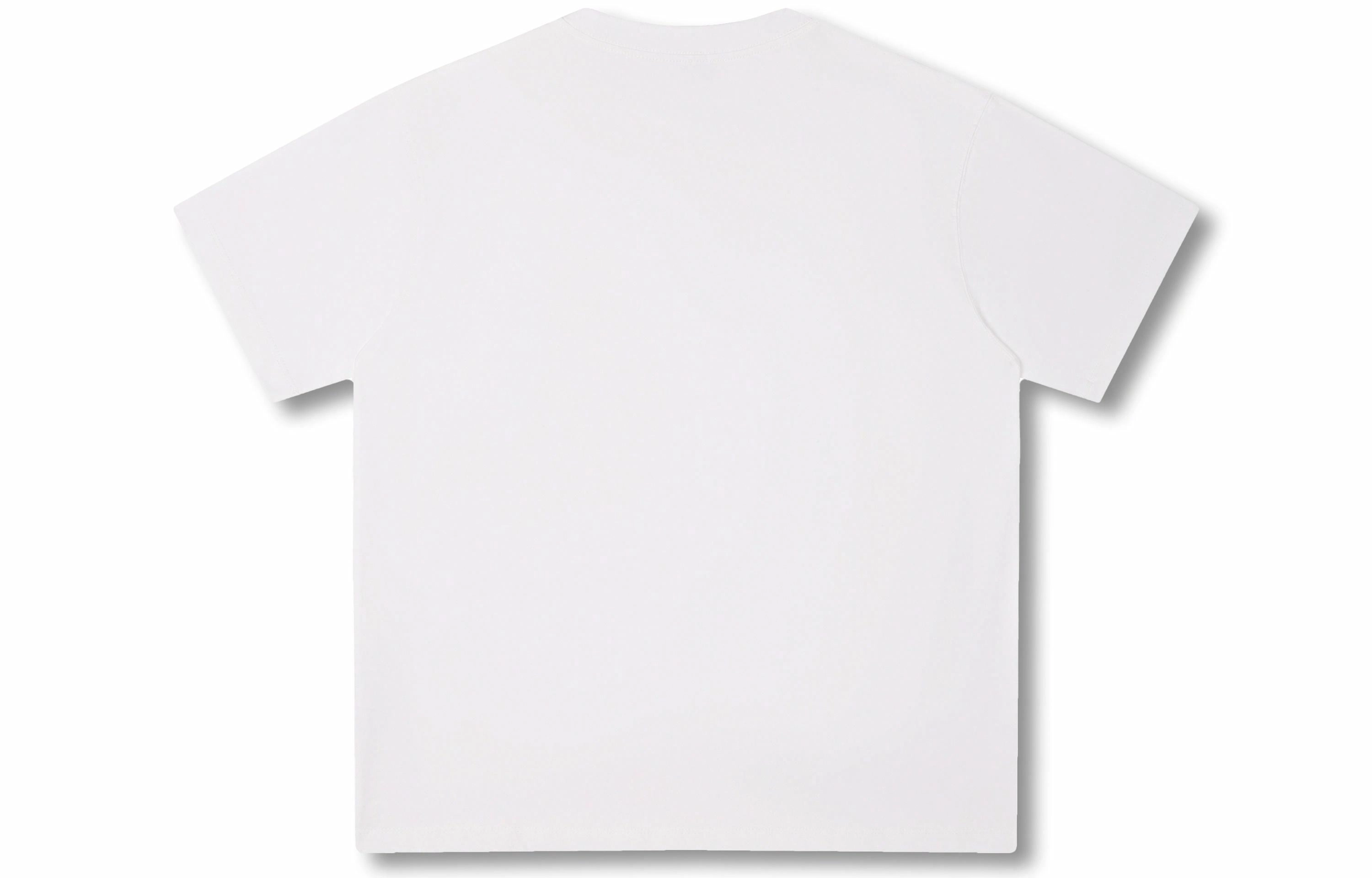 Rolling Money T