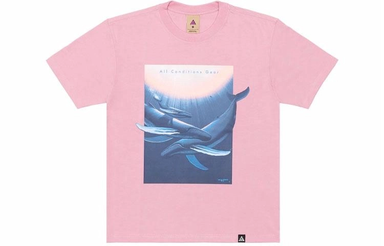 Nike ACG "Wyland" T