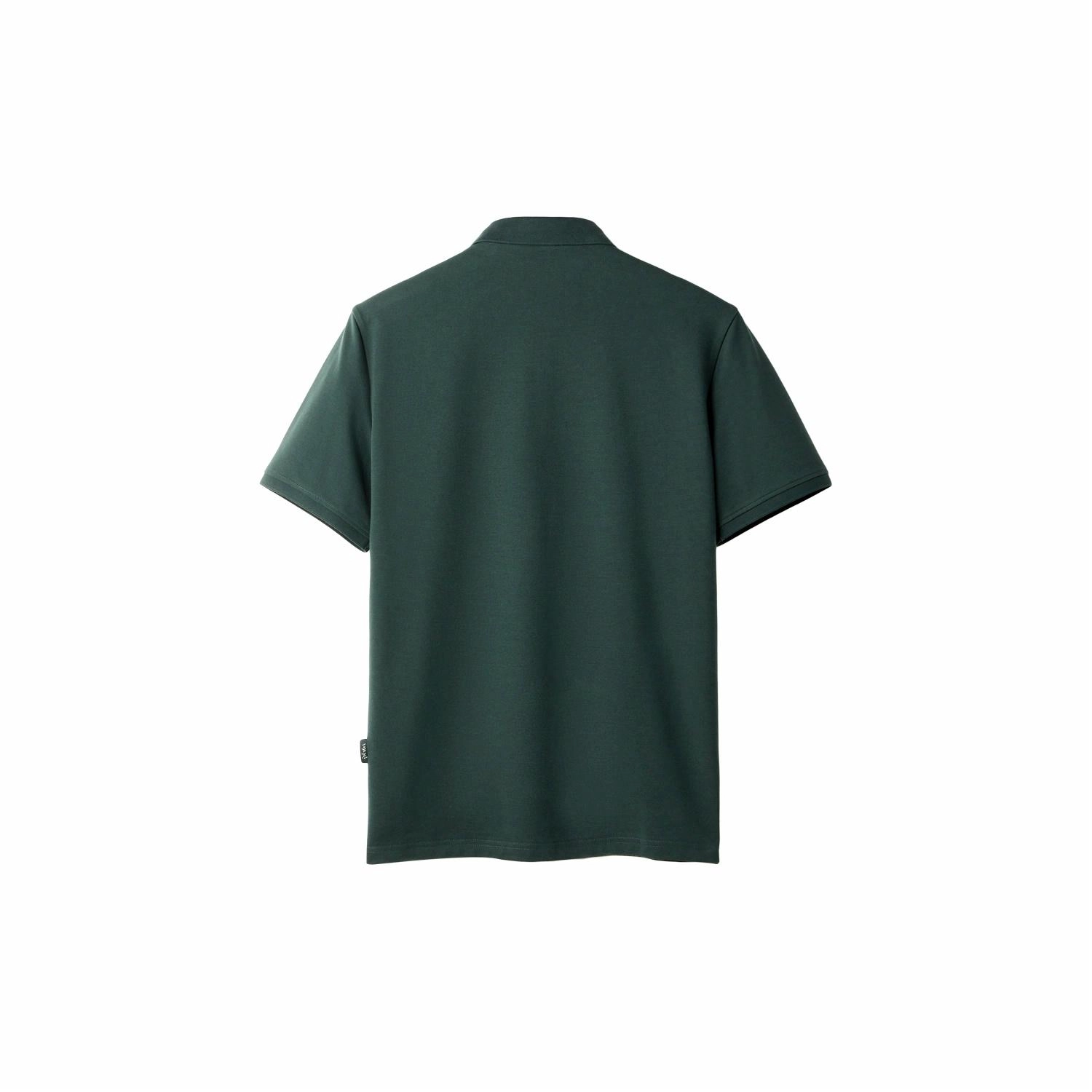 HLA POLO
