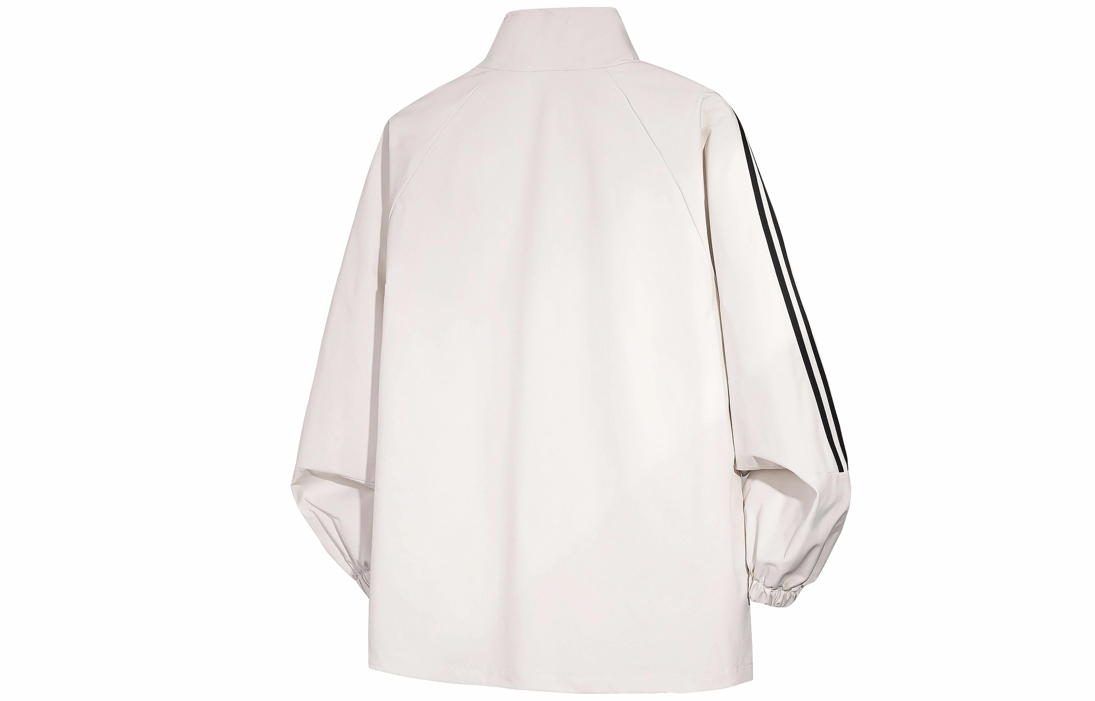 PAUL COSTELLOE LOGO