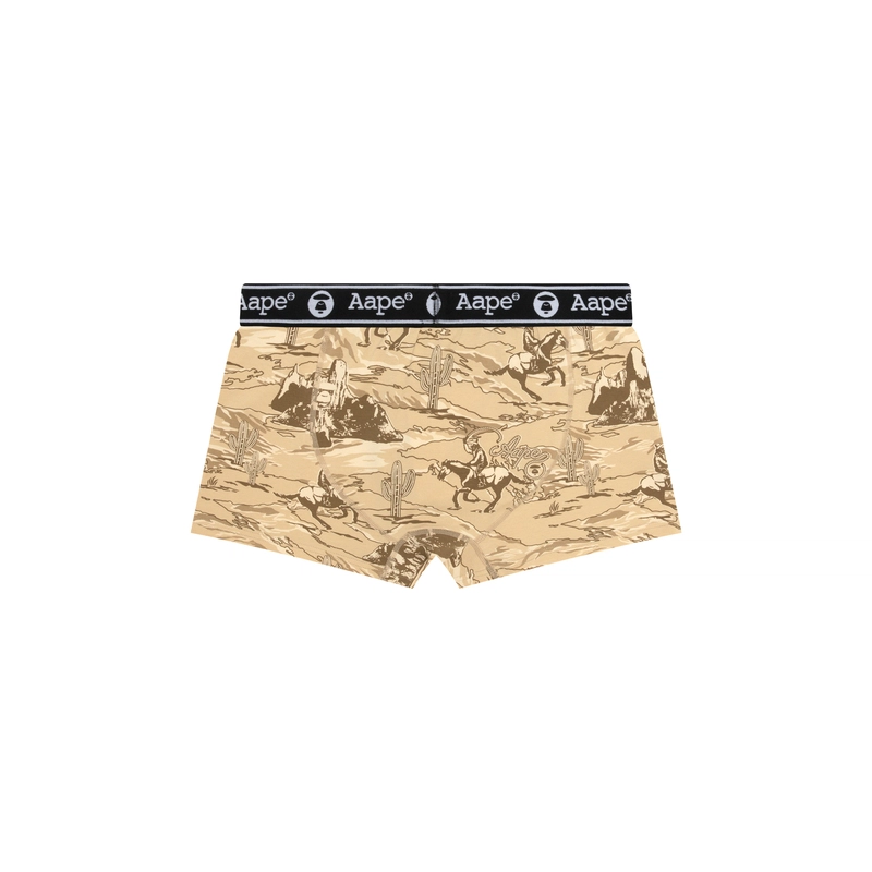 Aape 1