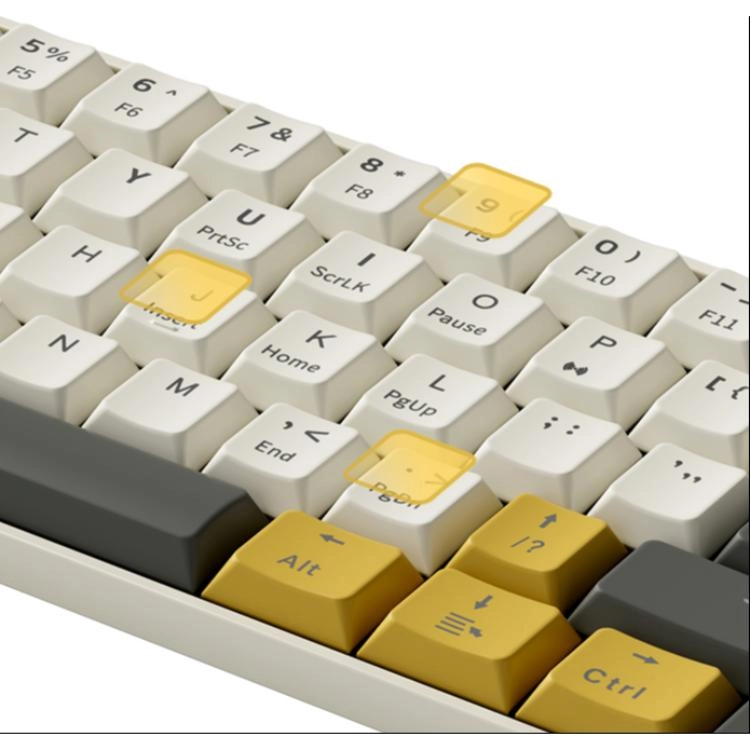 MC 61 MacWin