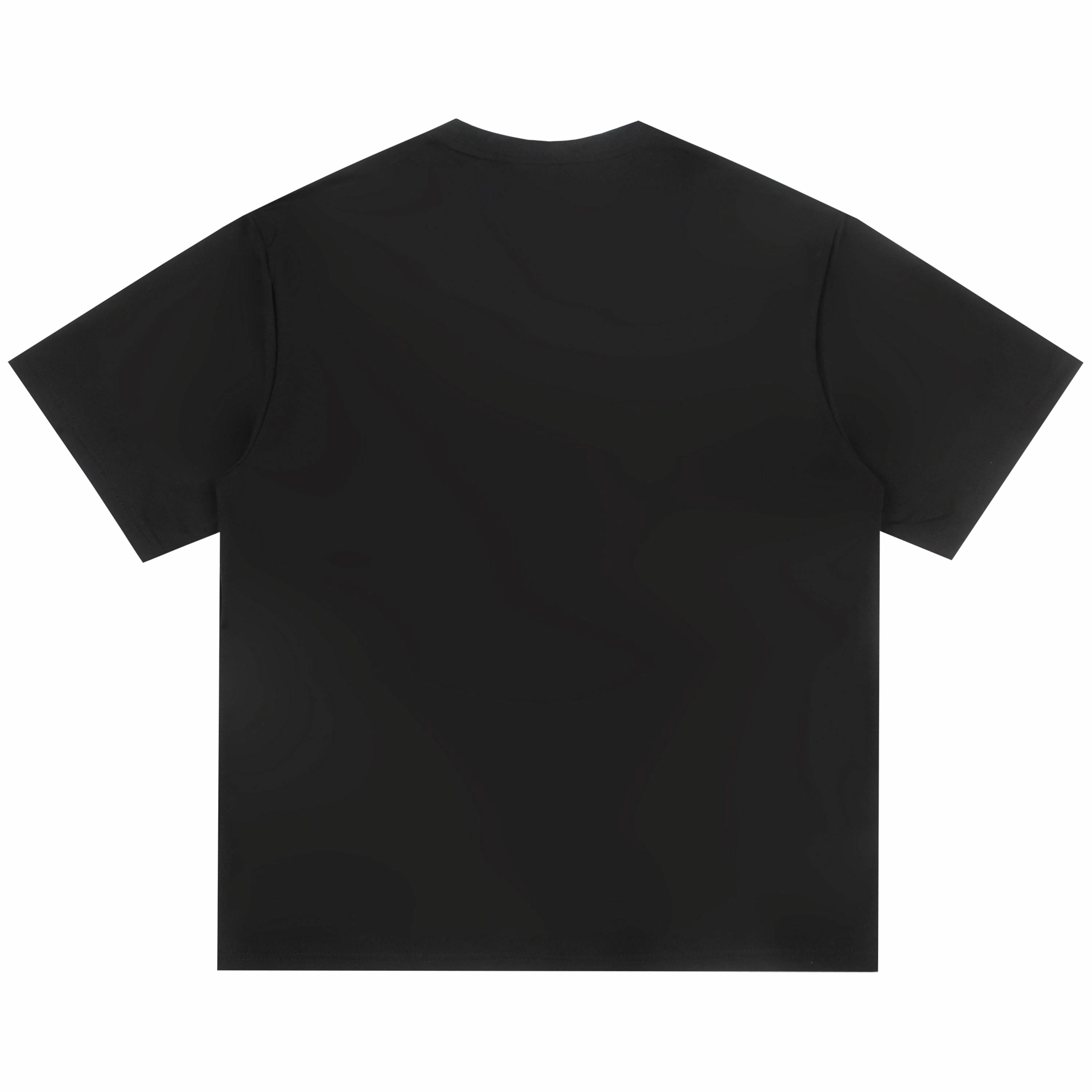 HOKLV T