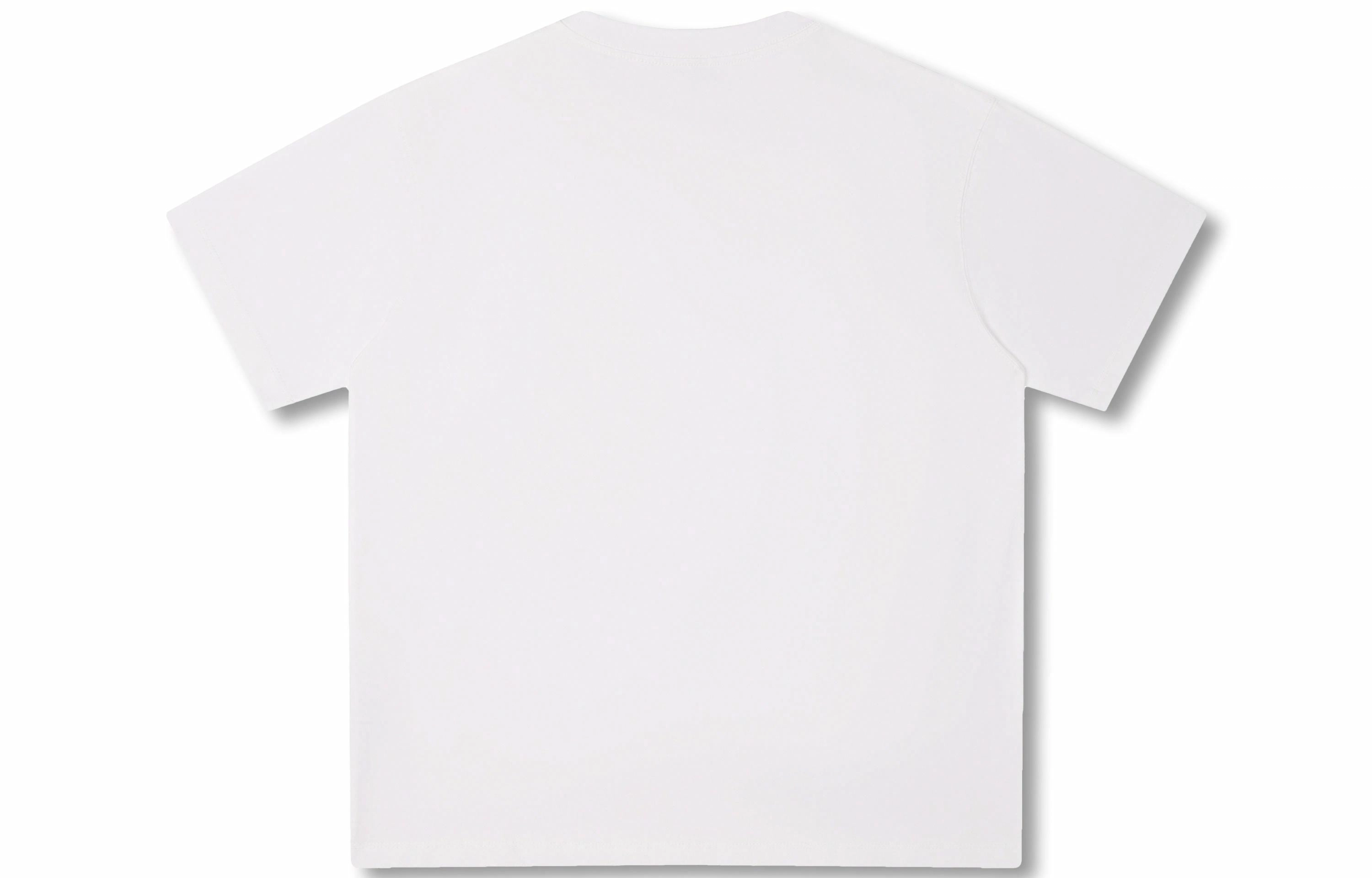Rolling Money T