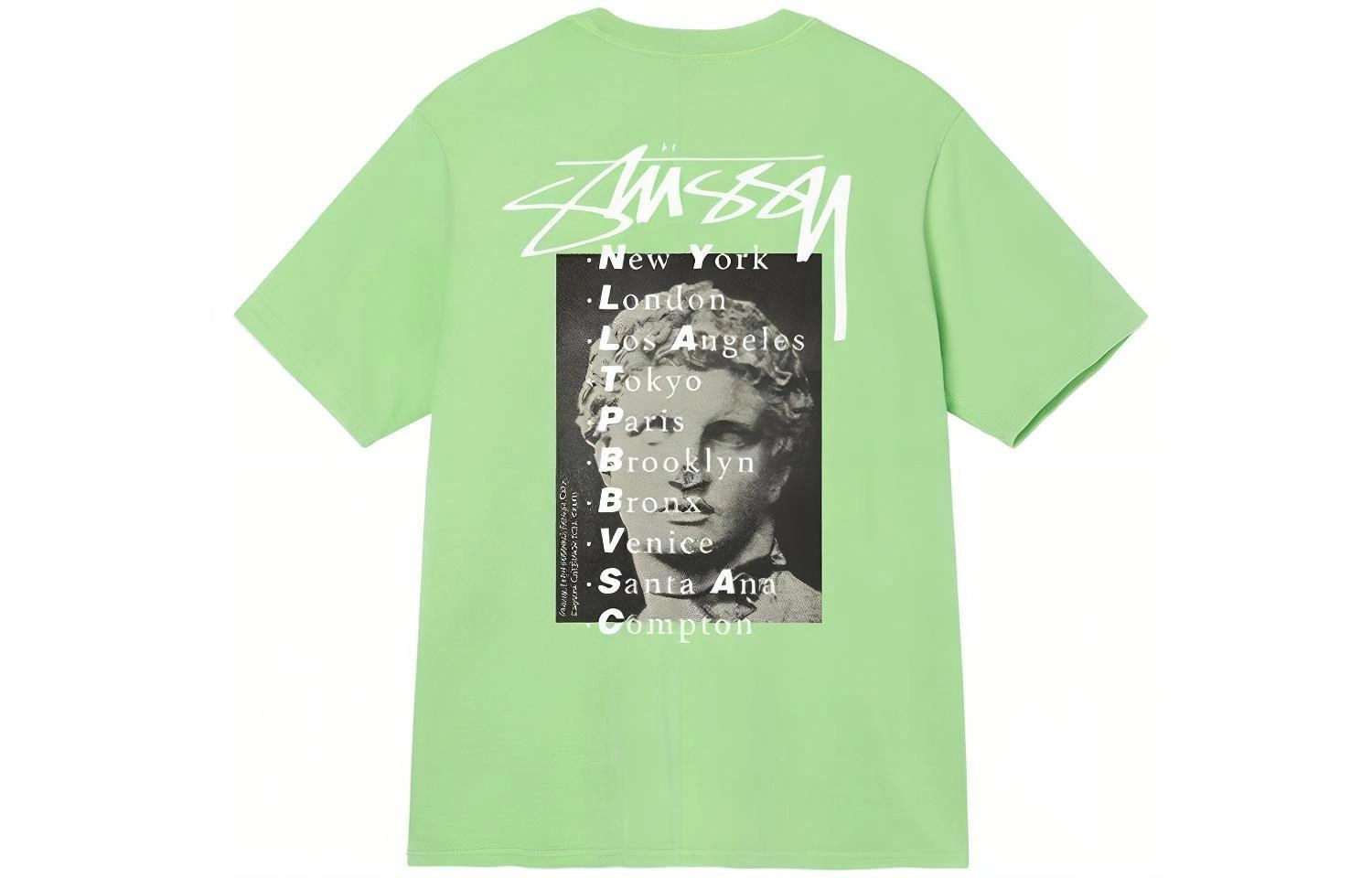 Stussy SS22 Statue Pig Dyed Tee T