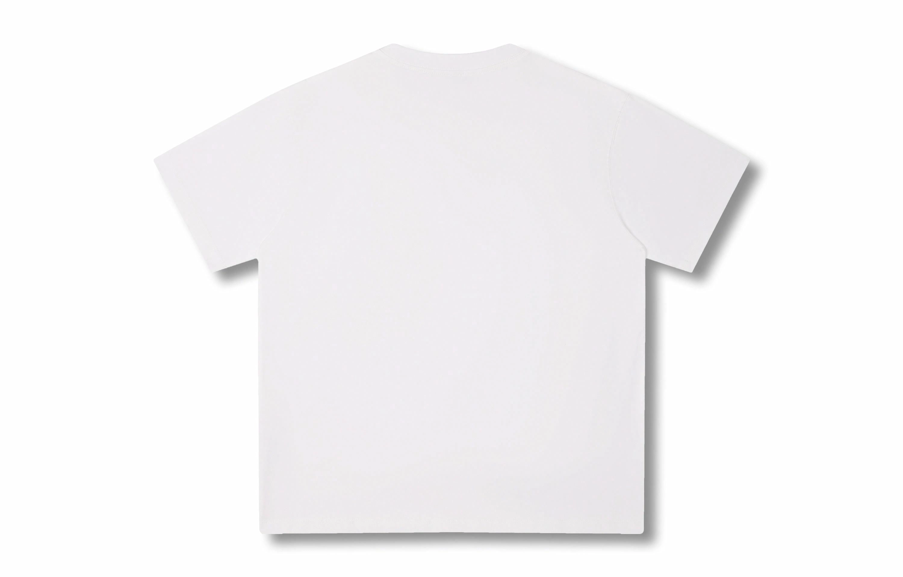 Rolling Money T