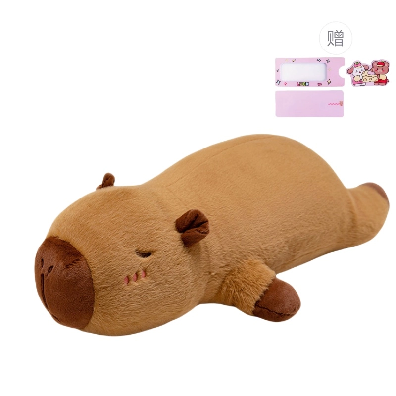 60cm80cm
