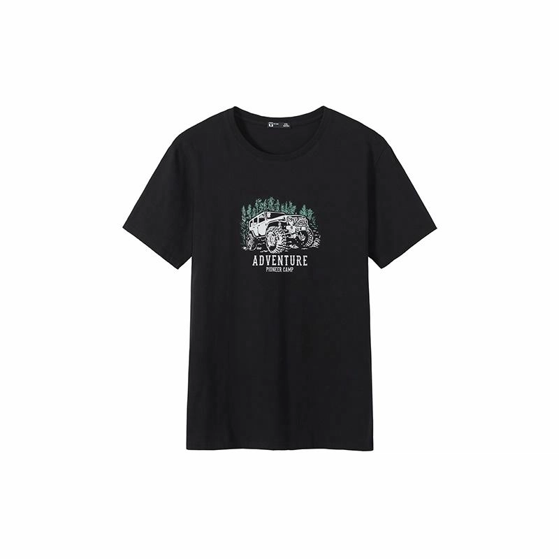 PIONEER CAMP T
