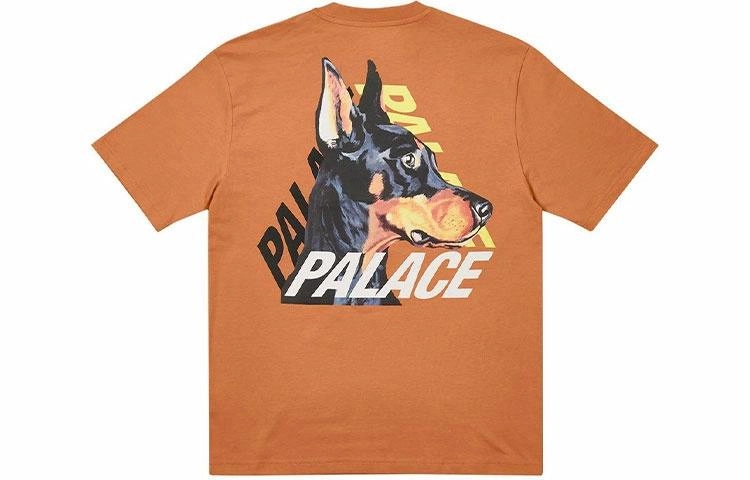 PALACE SS22 P-3-K-9 T-shirt Caramel LogoT