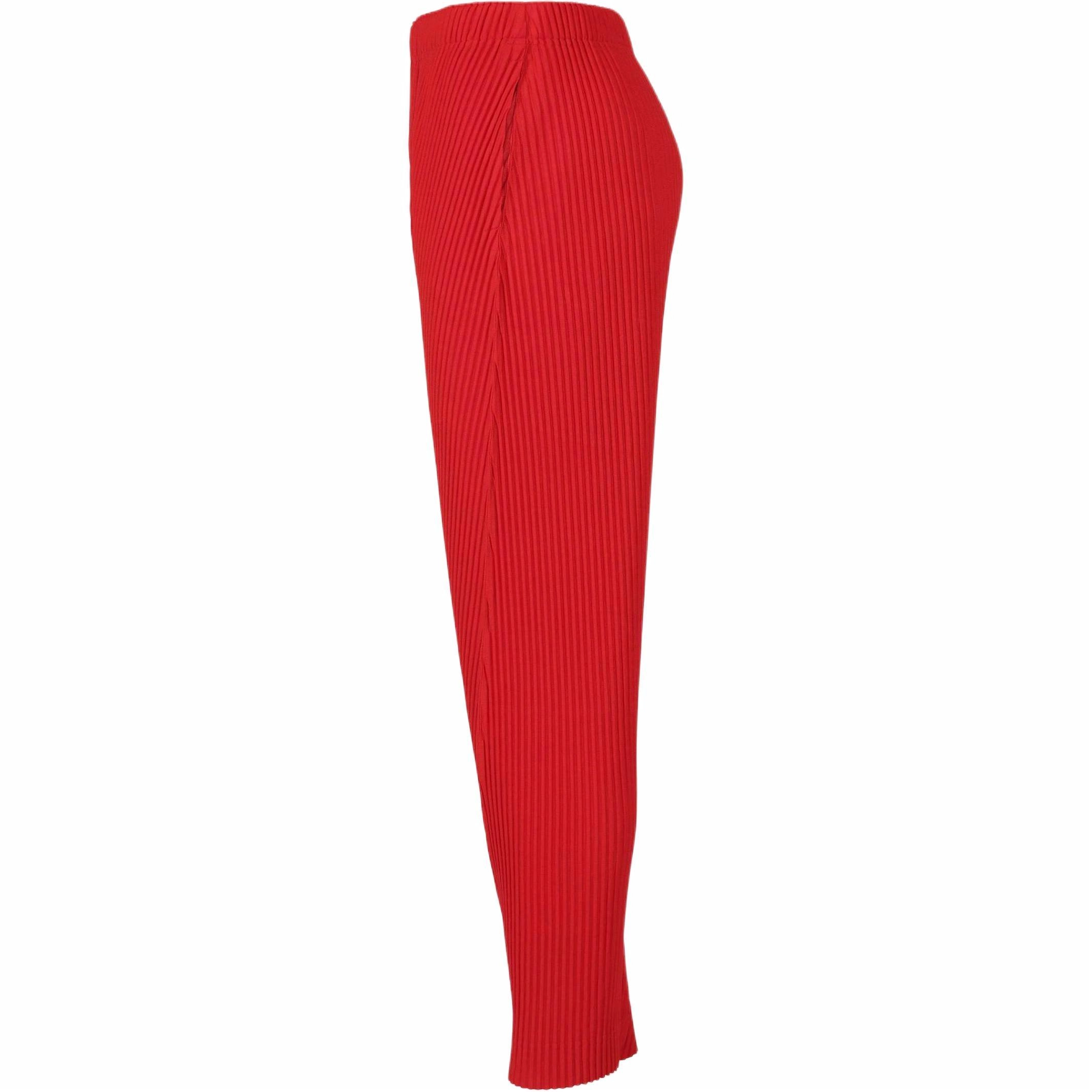 Homme Pliss Issey Miyake SS25