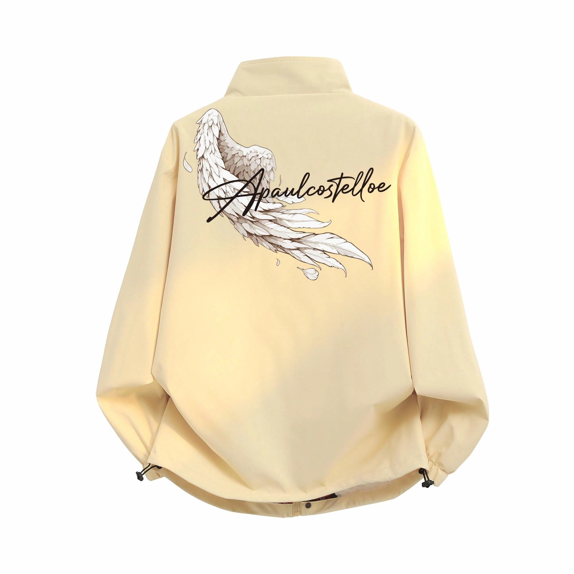 PAUL COSTELLOE Logo