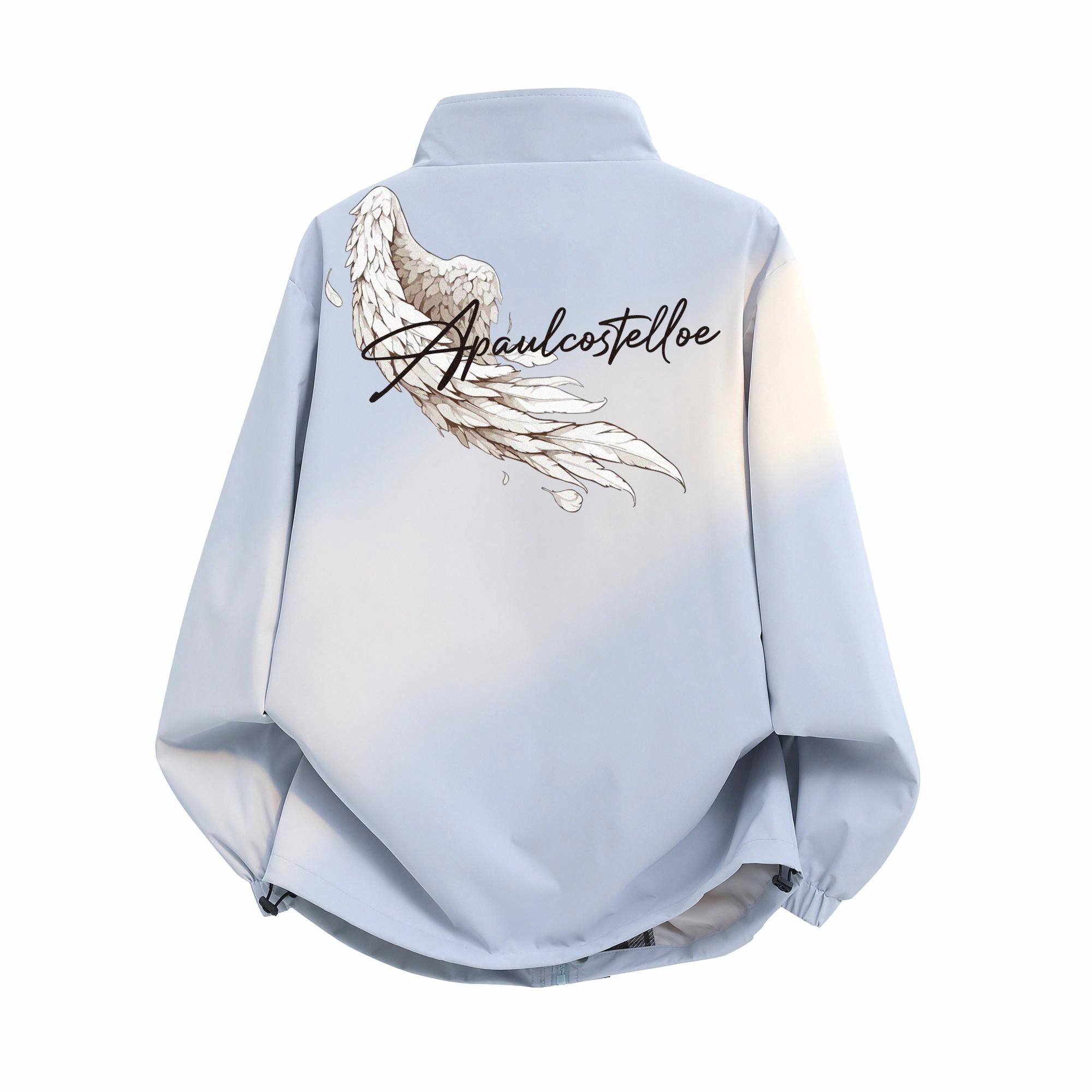 PAUL COSTELLOE Logo