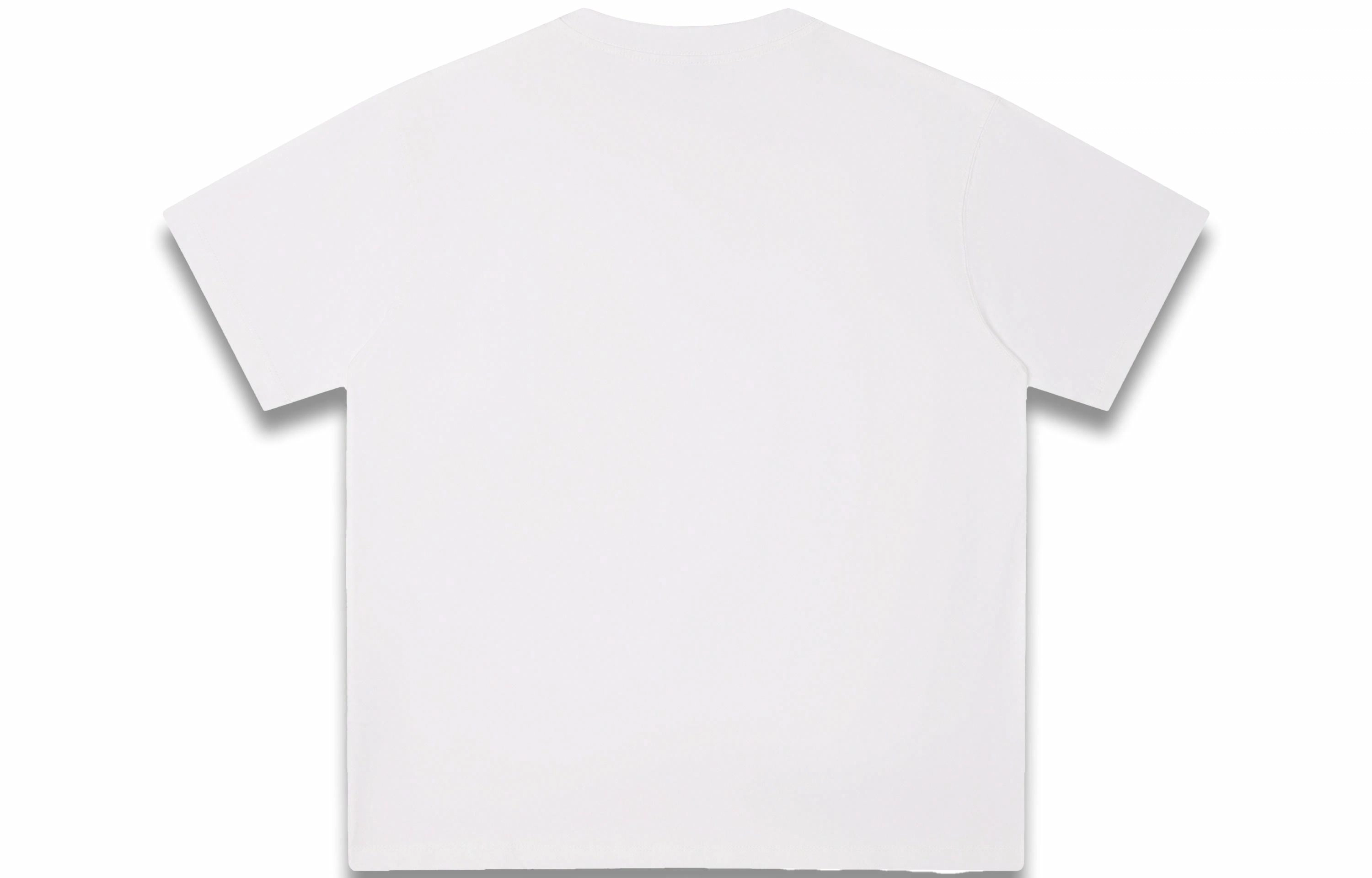 Rolling Money T