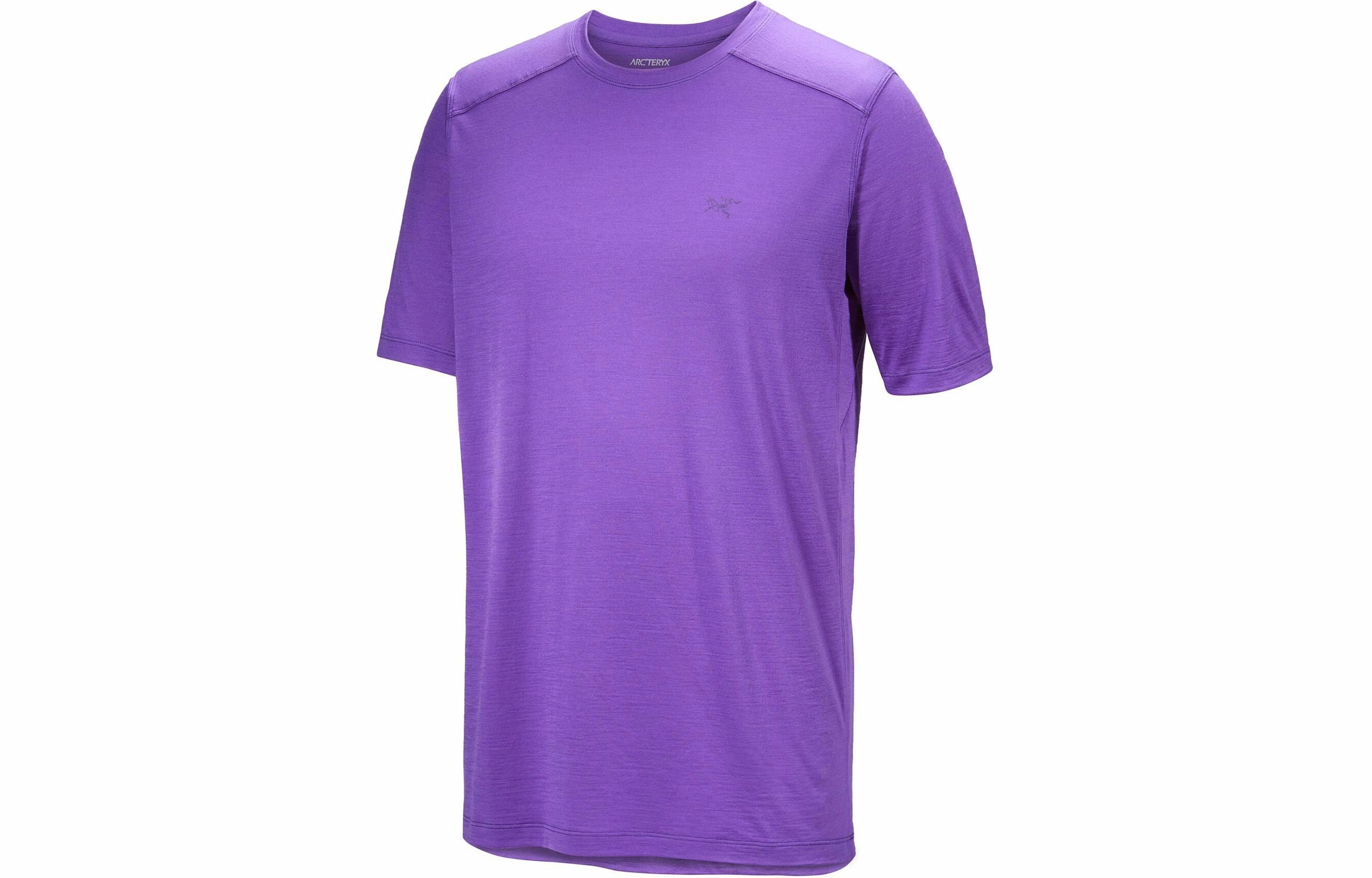 Arcteryx SS23 Ionia Merino Wool T