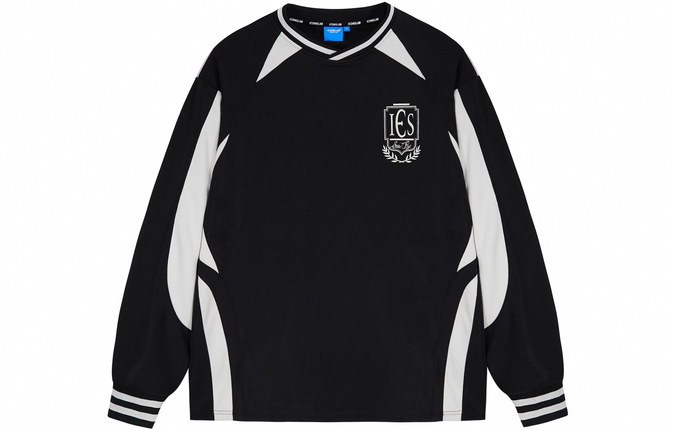 ICONS Lab T