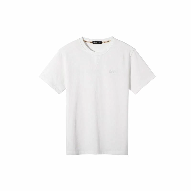 PIONEER CAMP T