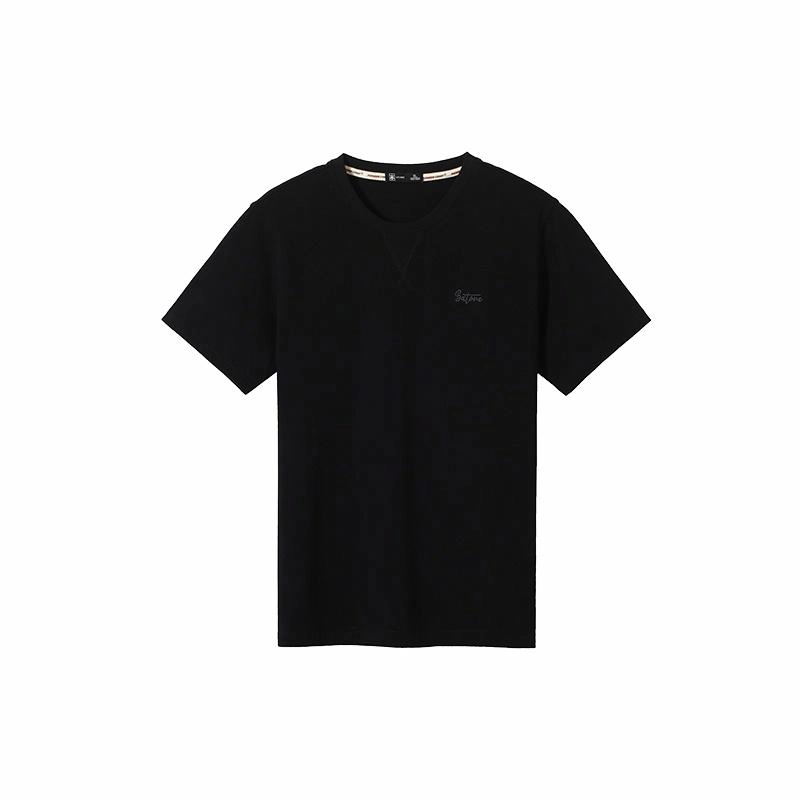 PIONEER CAMP T