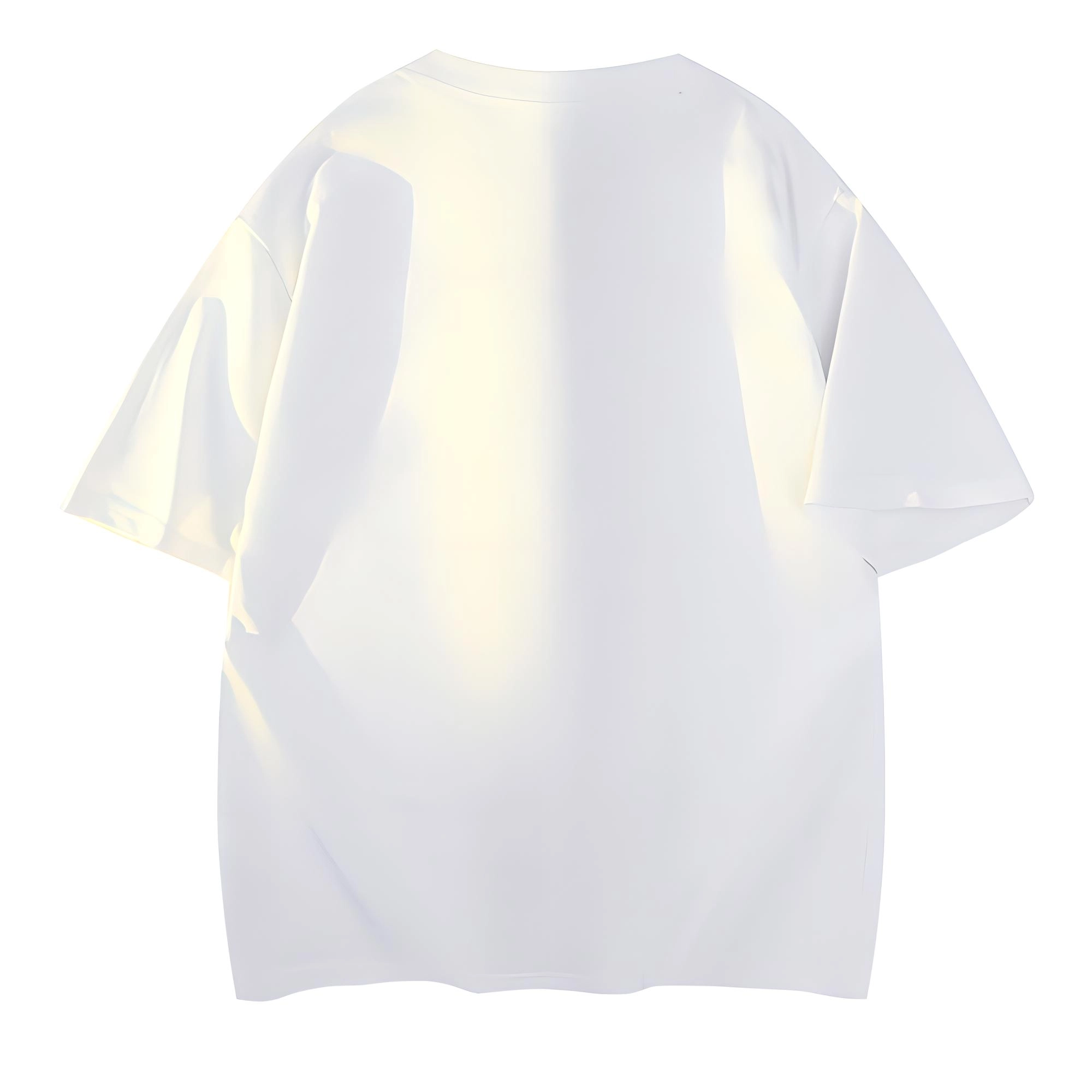 WELTER EXPERIMENT T