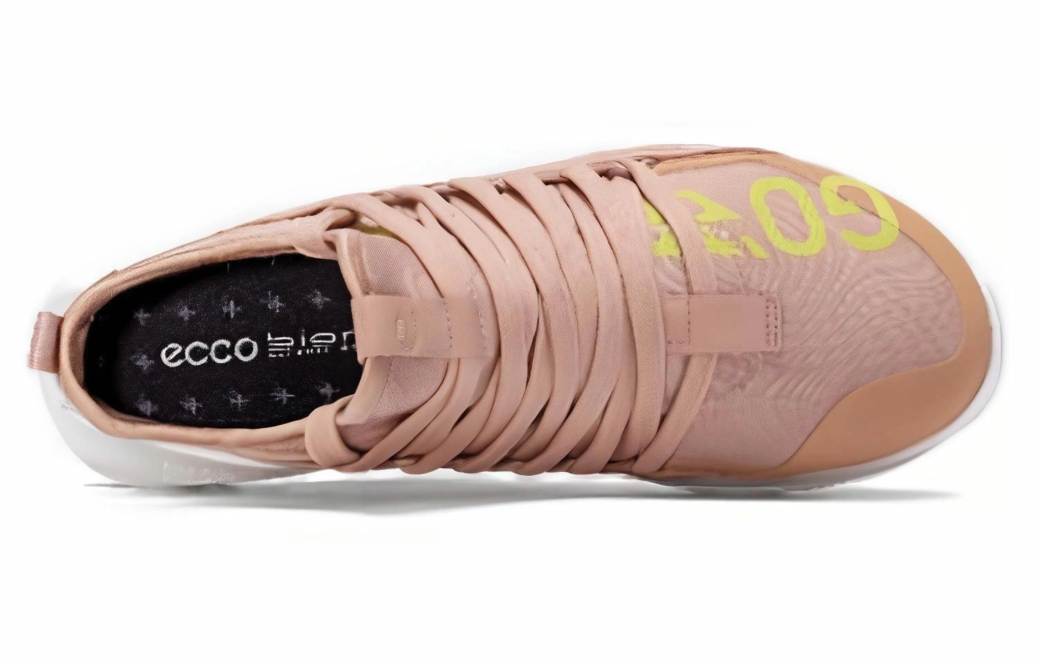ecco 2.0
