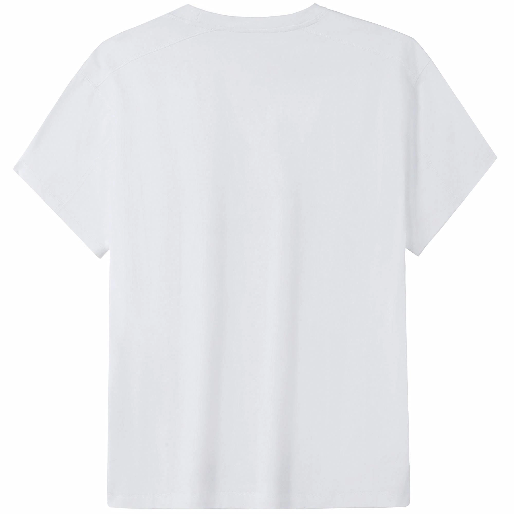 CAMEL T