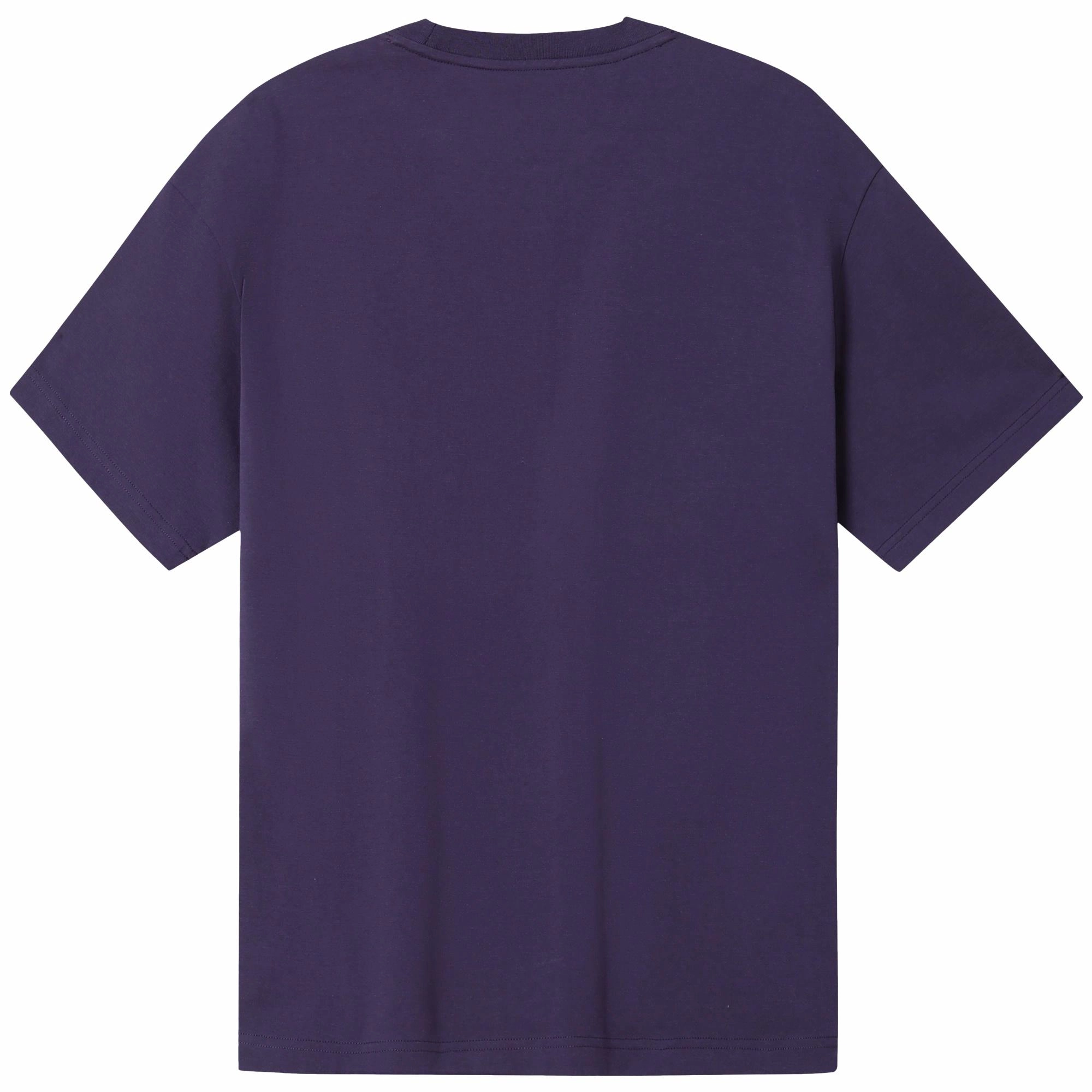 CAMEL T