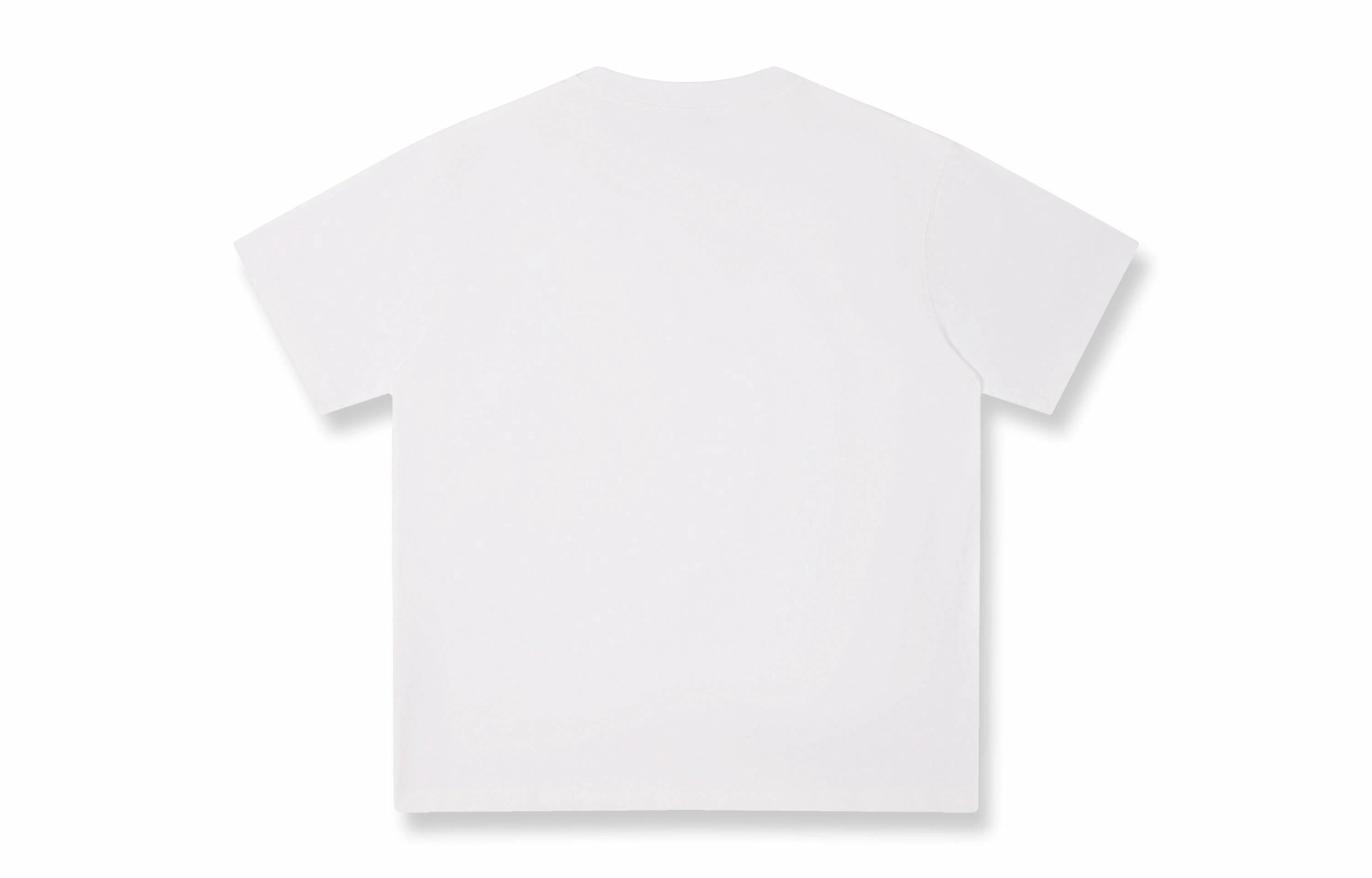 Rolling Money T