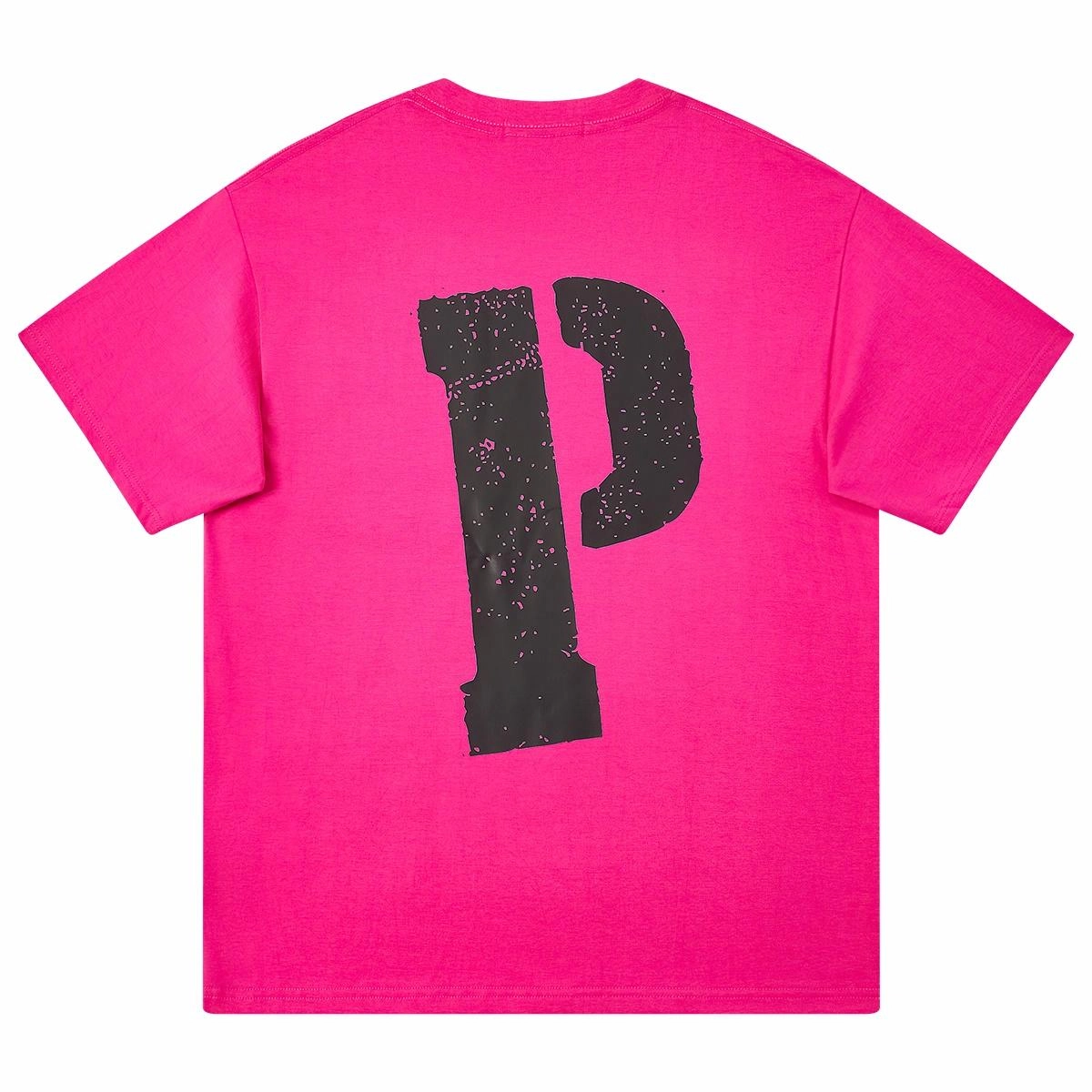 PAKA LogoPT