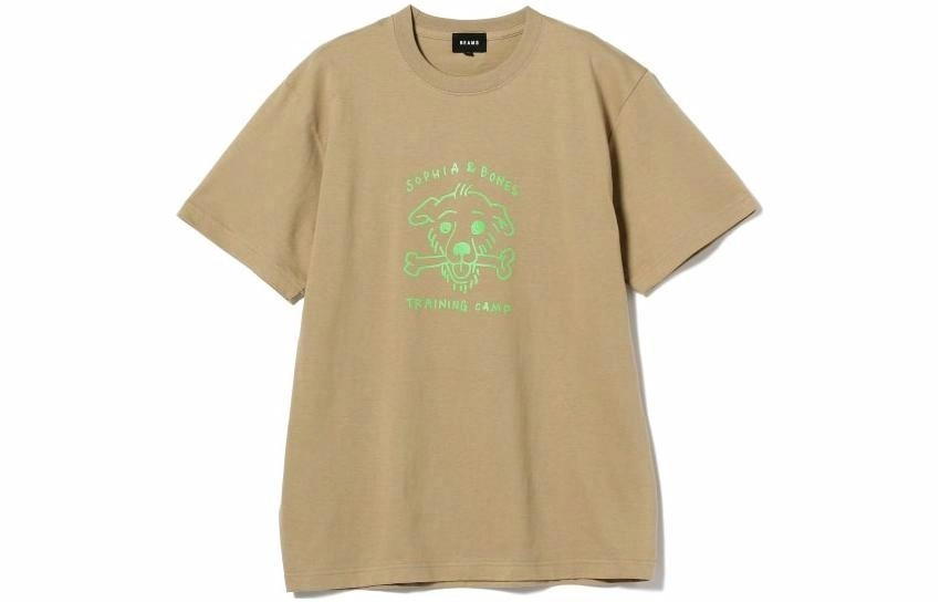 beams T