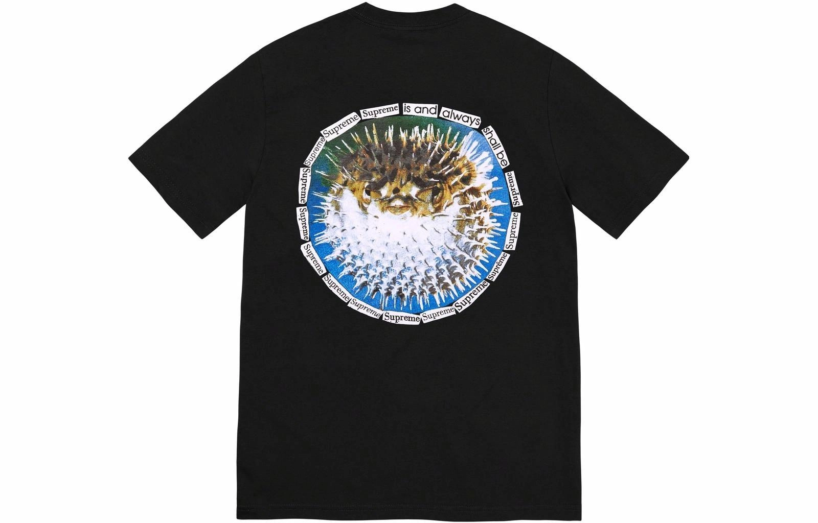 Supreme SS23 WEEK18 BLOWFISH TEE T