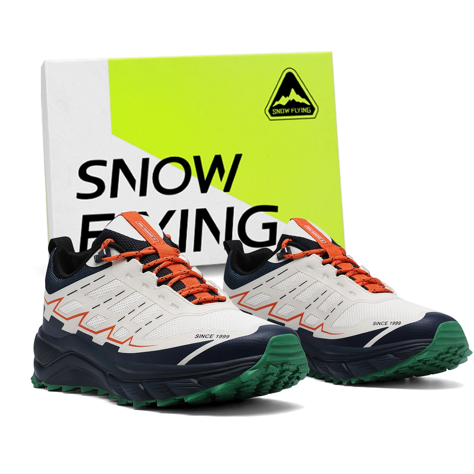 SNOW FLYING