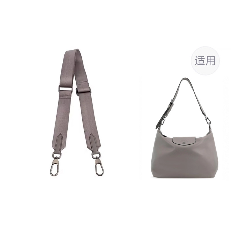 jingxi HoboLongchamp