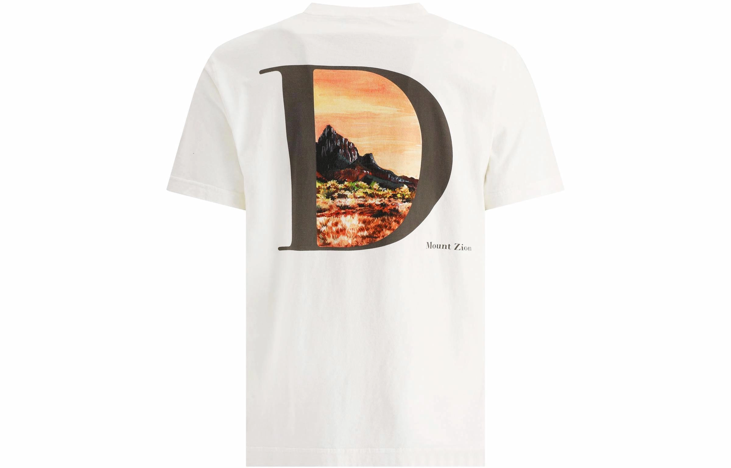 DIOR T