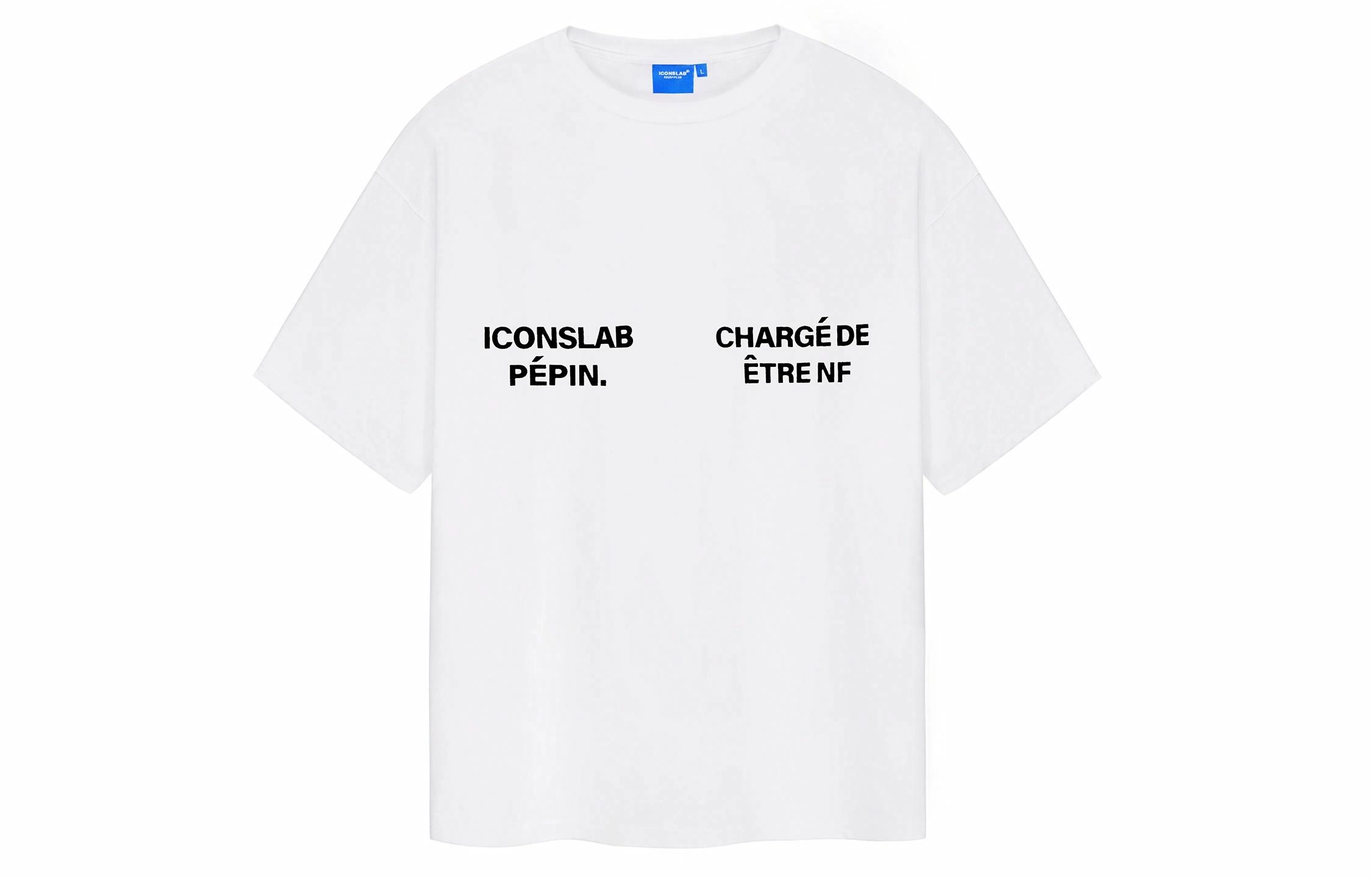 ICONS Lab T