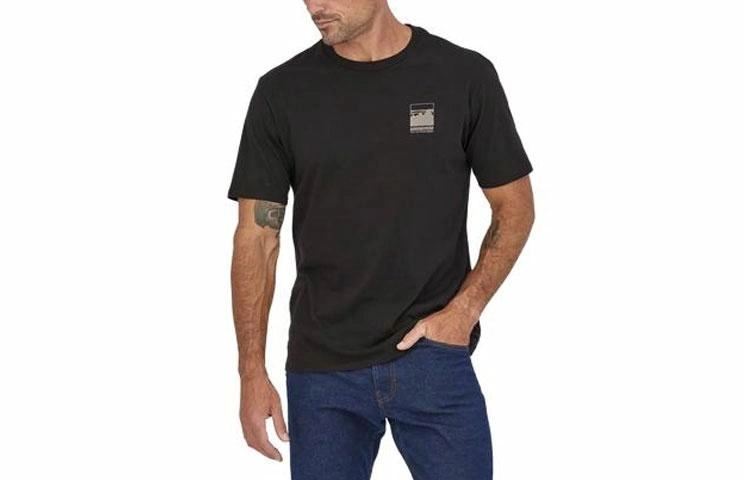 patagonia Alpine Icon LogoT