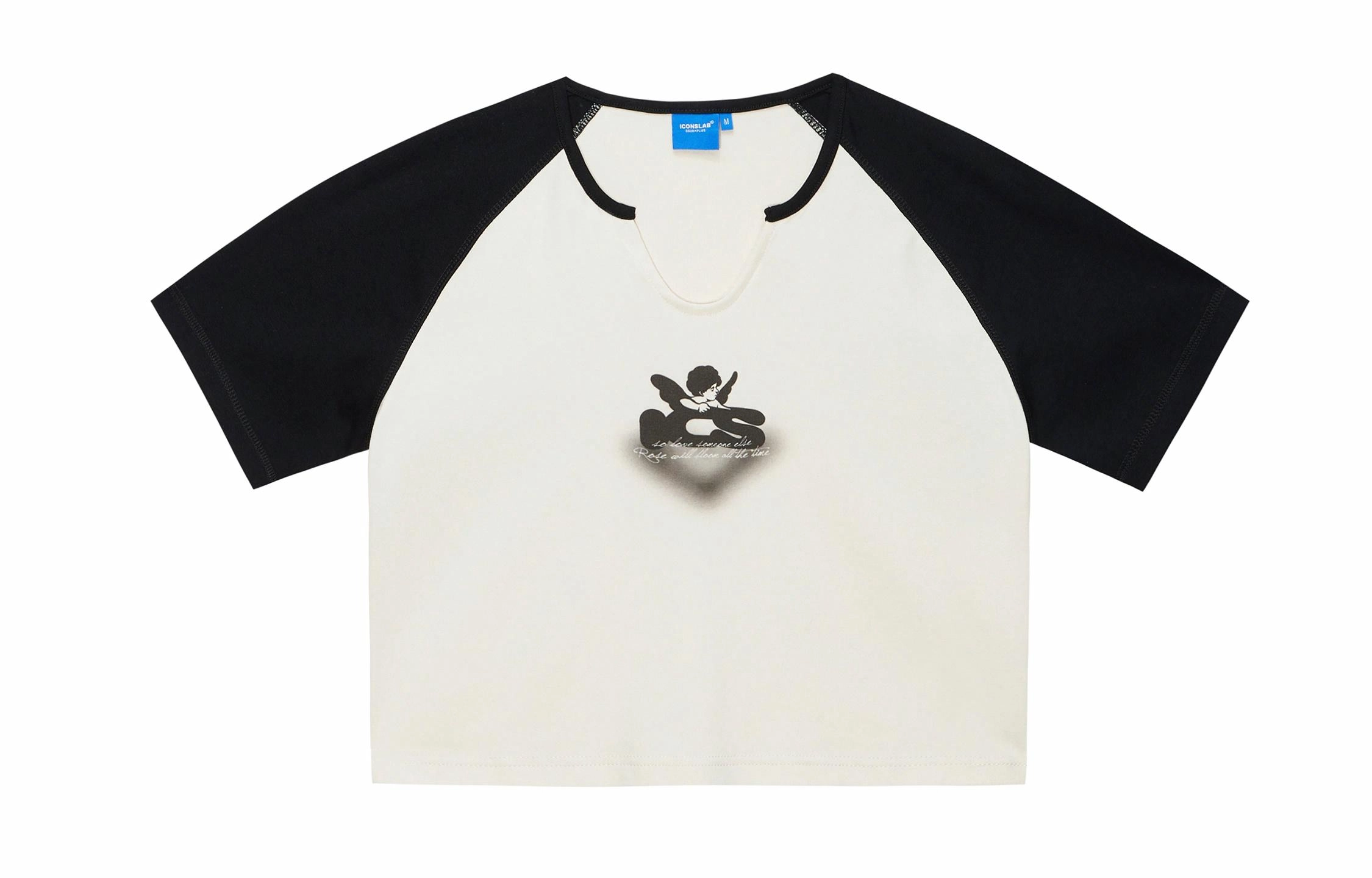 ICONS Lab SS23 VT