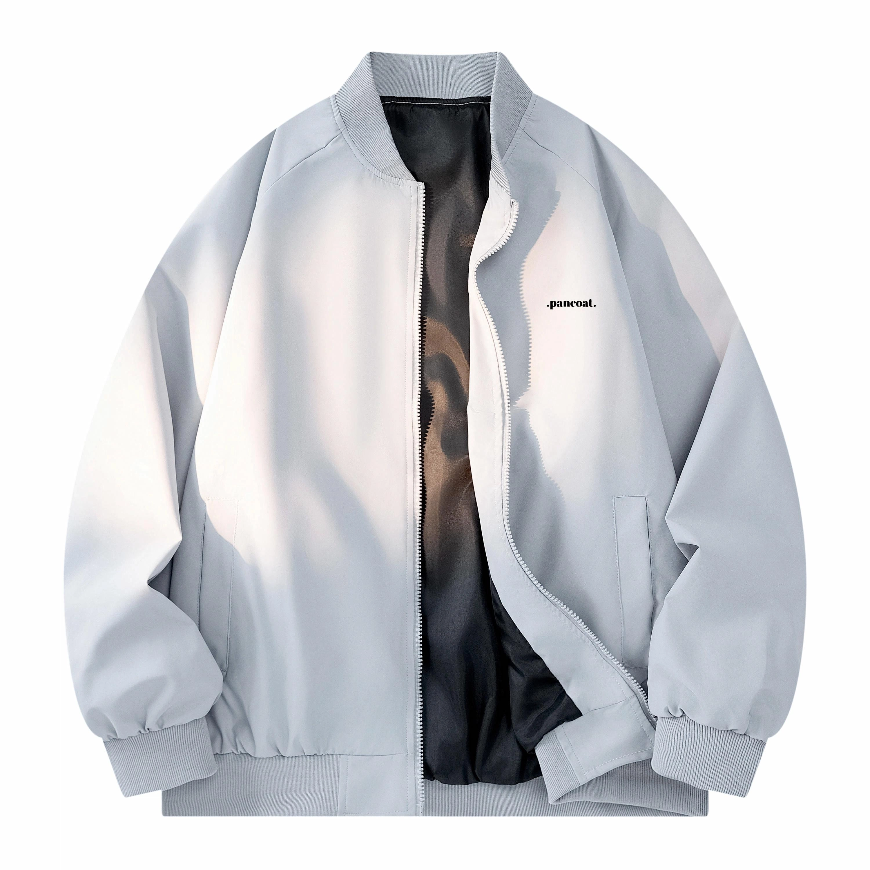 Pancoat Logo