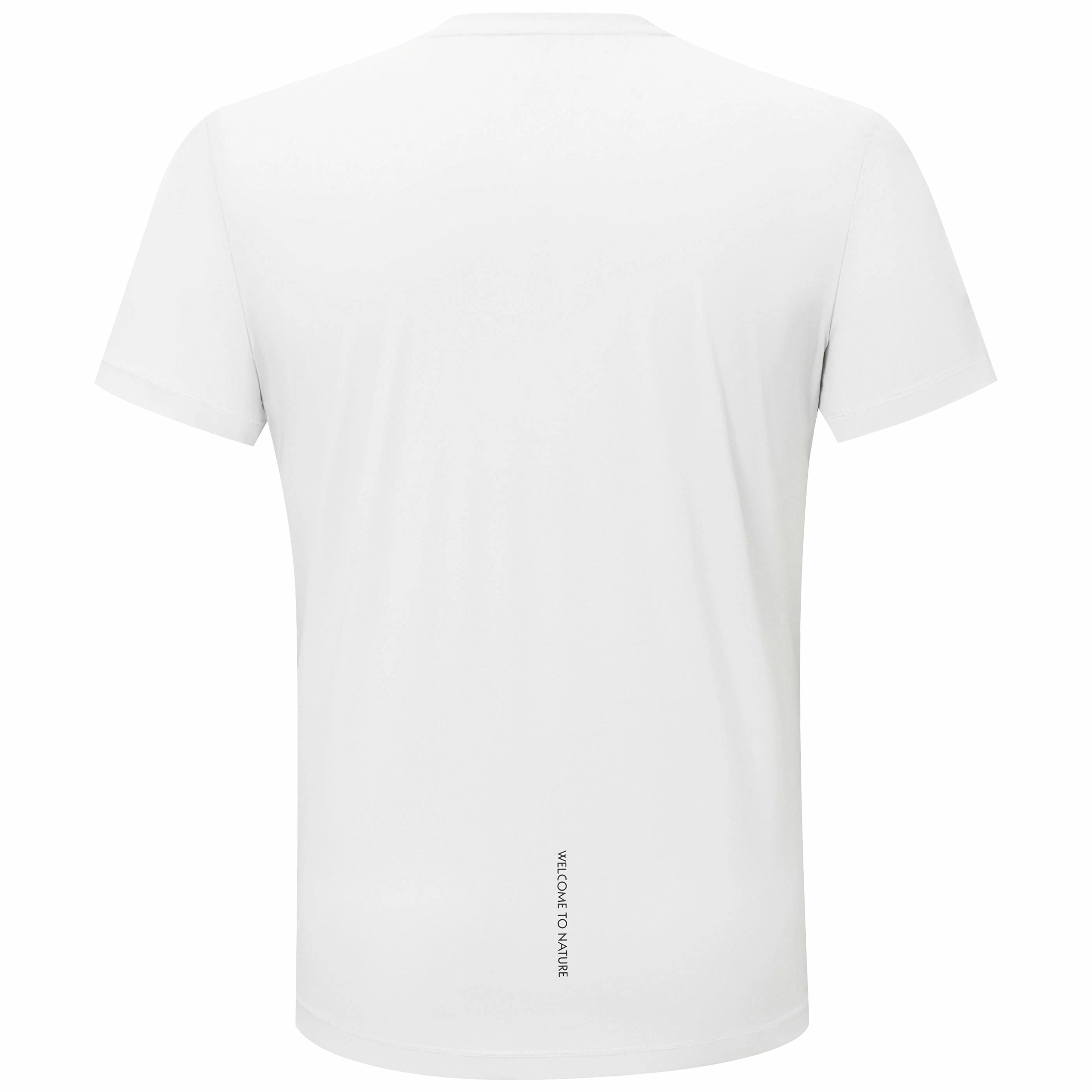PELLIOT T