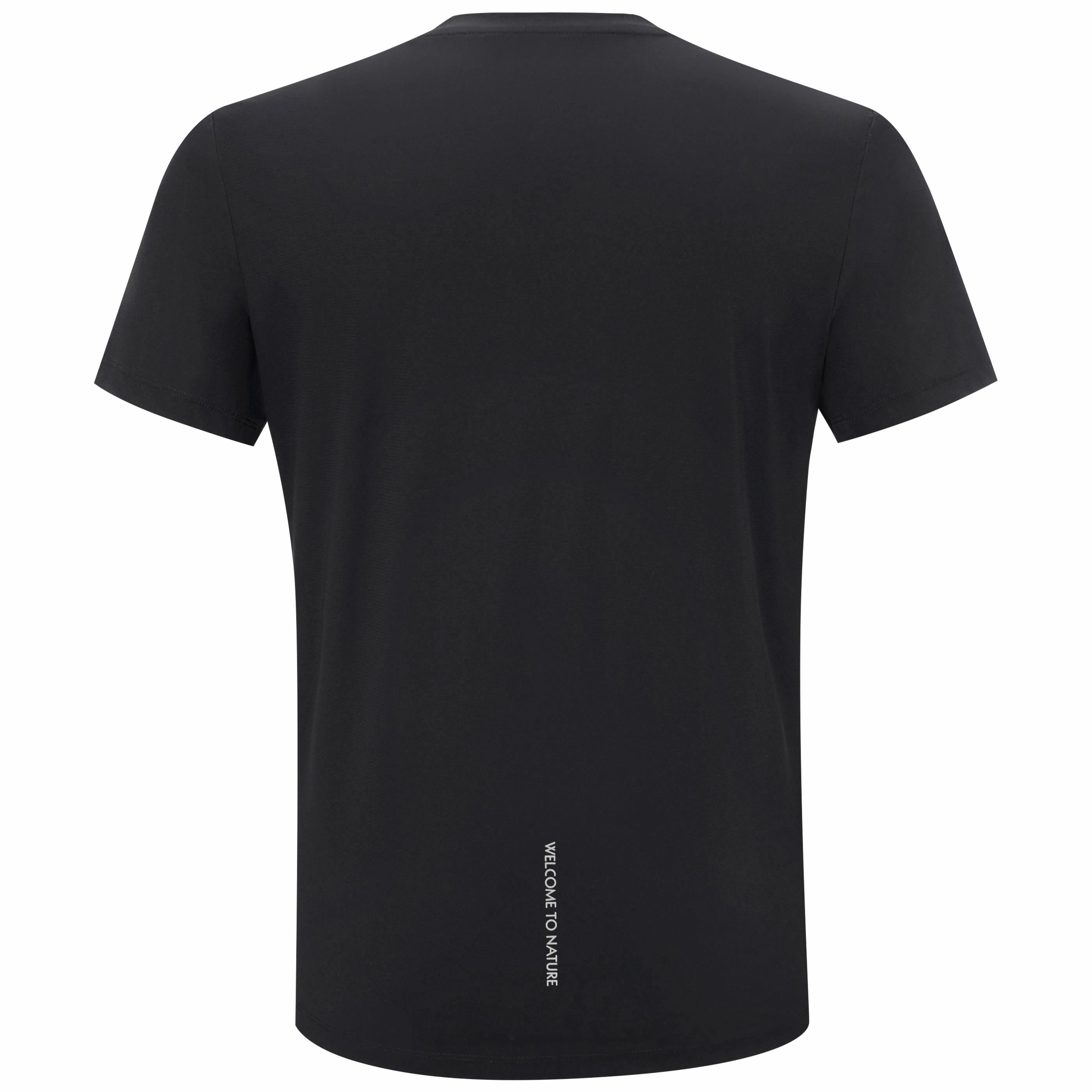 PELLIOT T