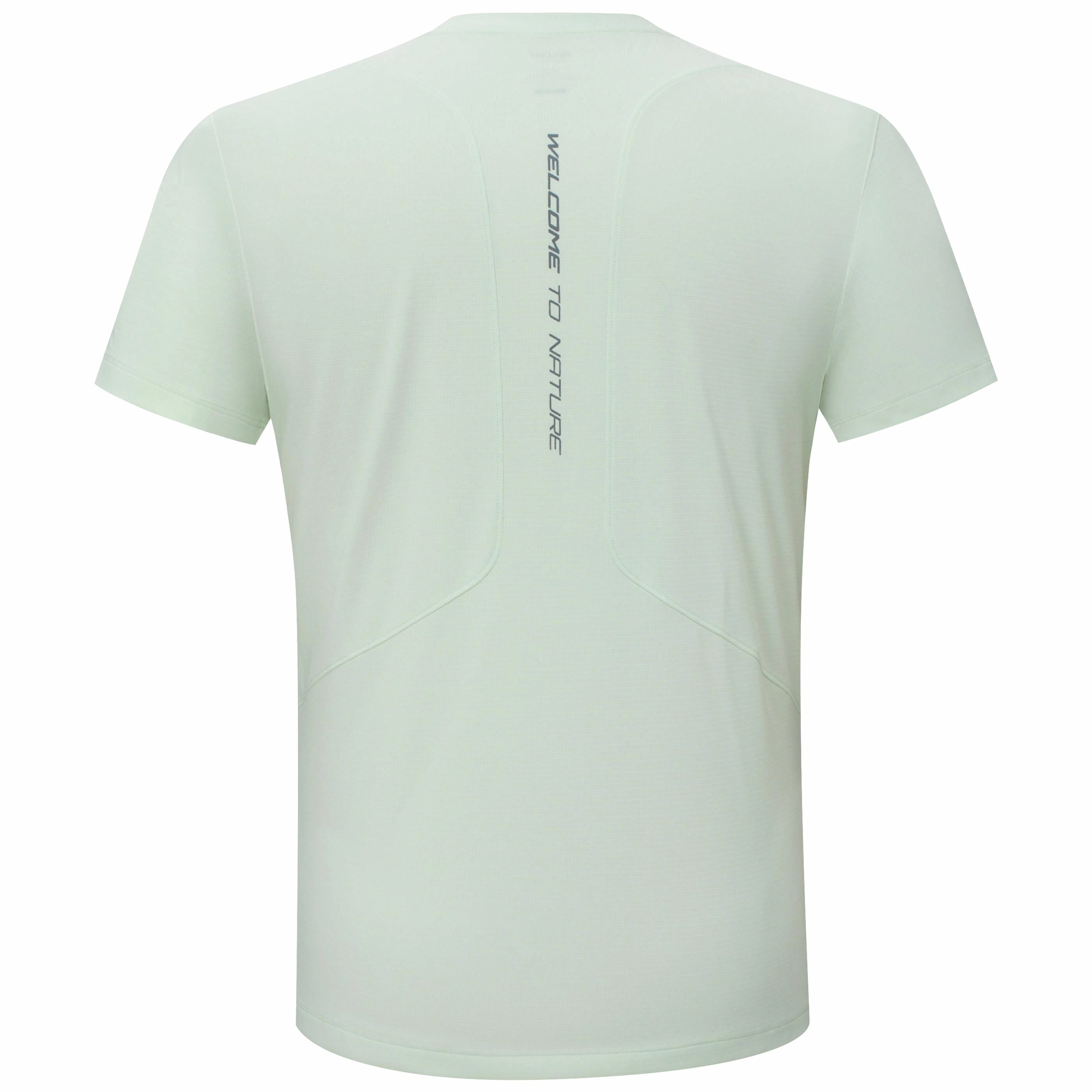 PELLIOT T