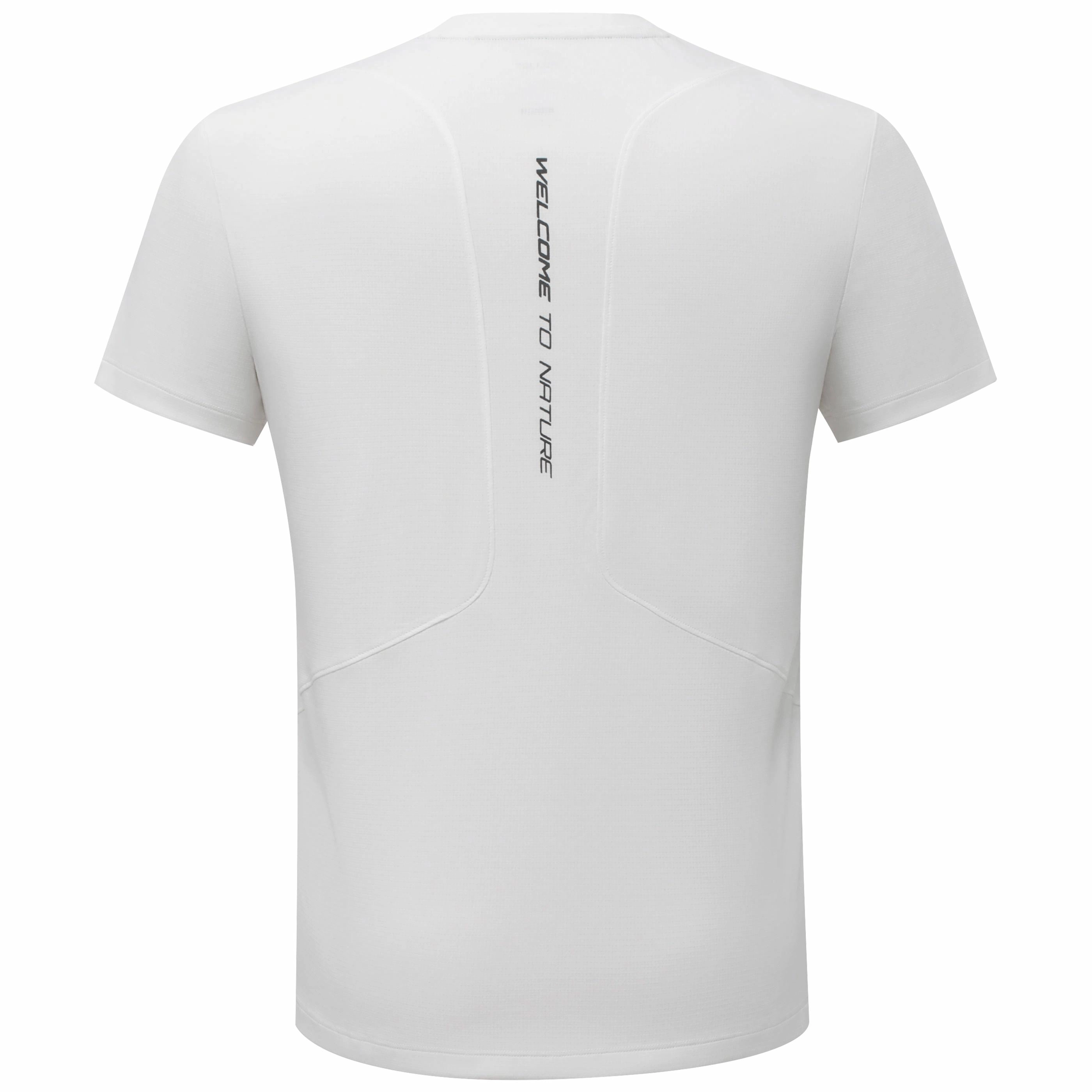 PELLIOT T