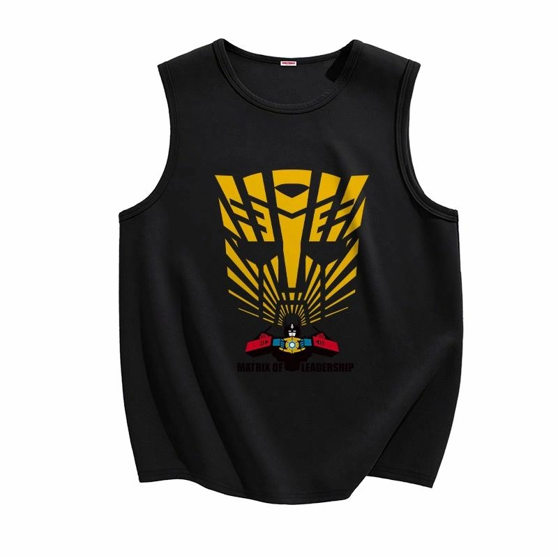 TRANSFORMERS t