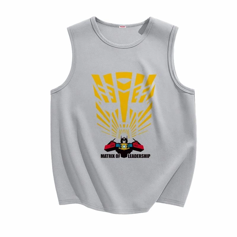 TRANSFORMERS t