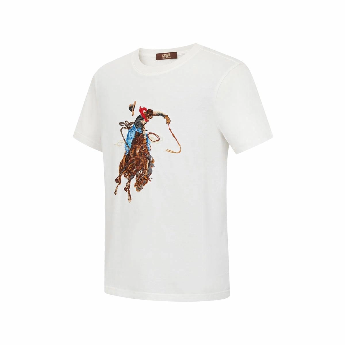 Cavalli Class T
